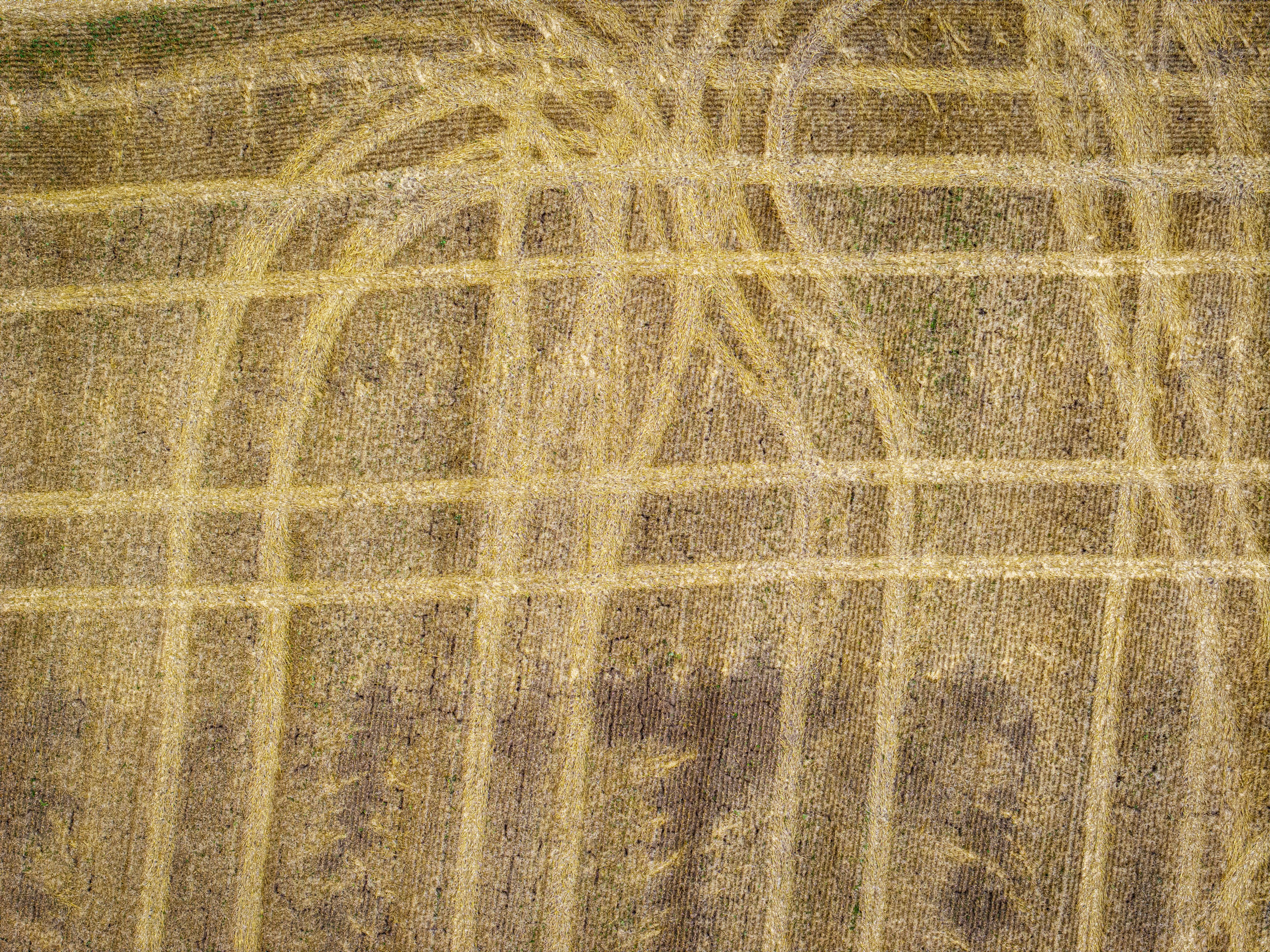 A textured surface with grid and curved patterns.