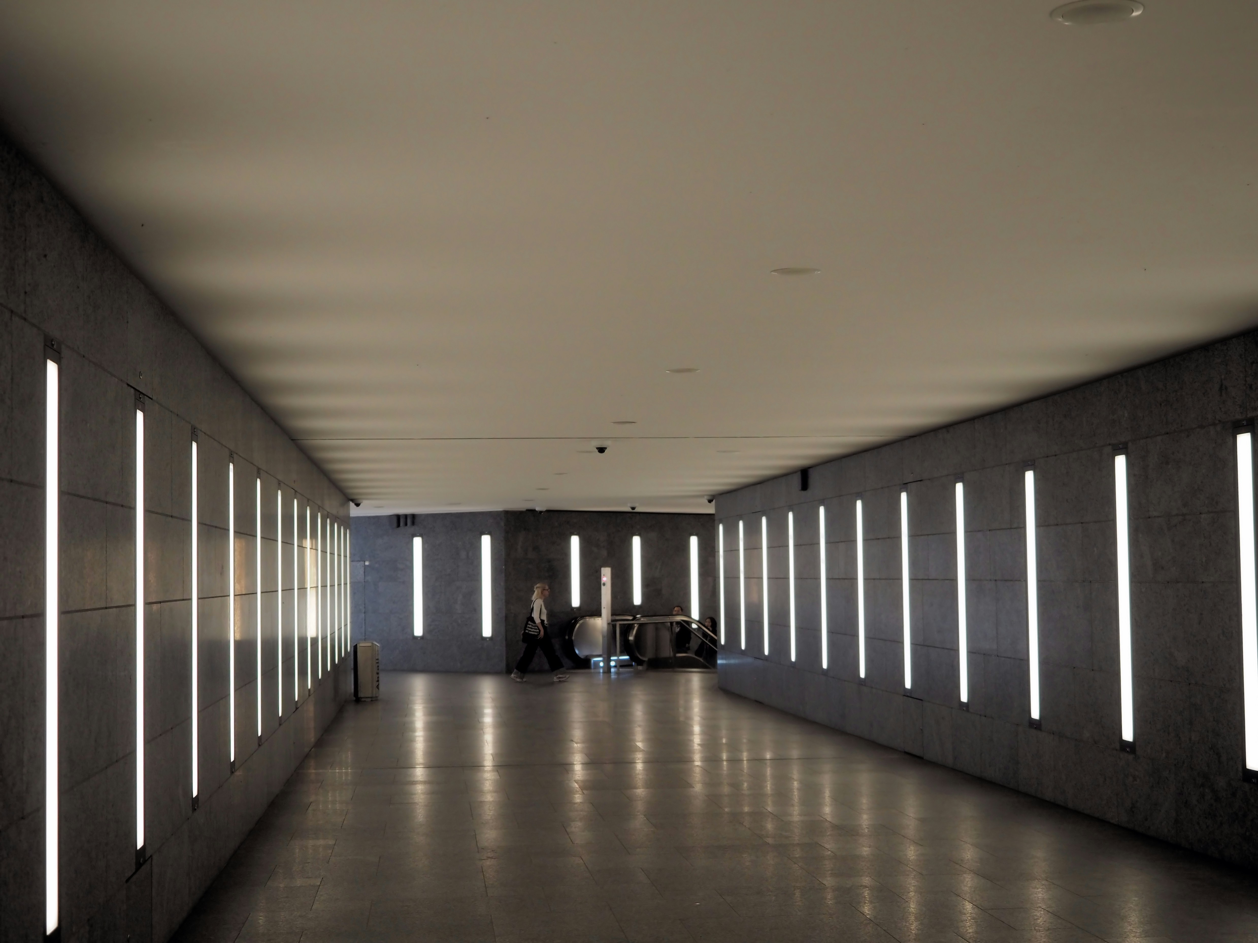 Modern hallway with illuminated vertical light strips