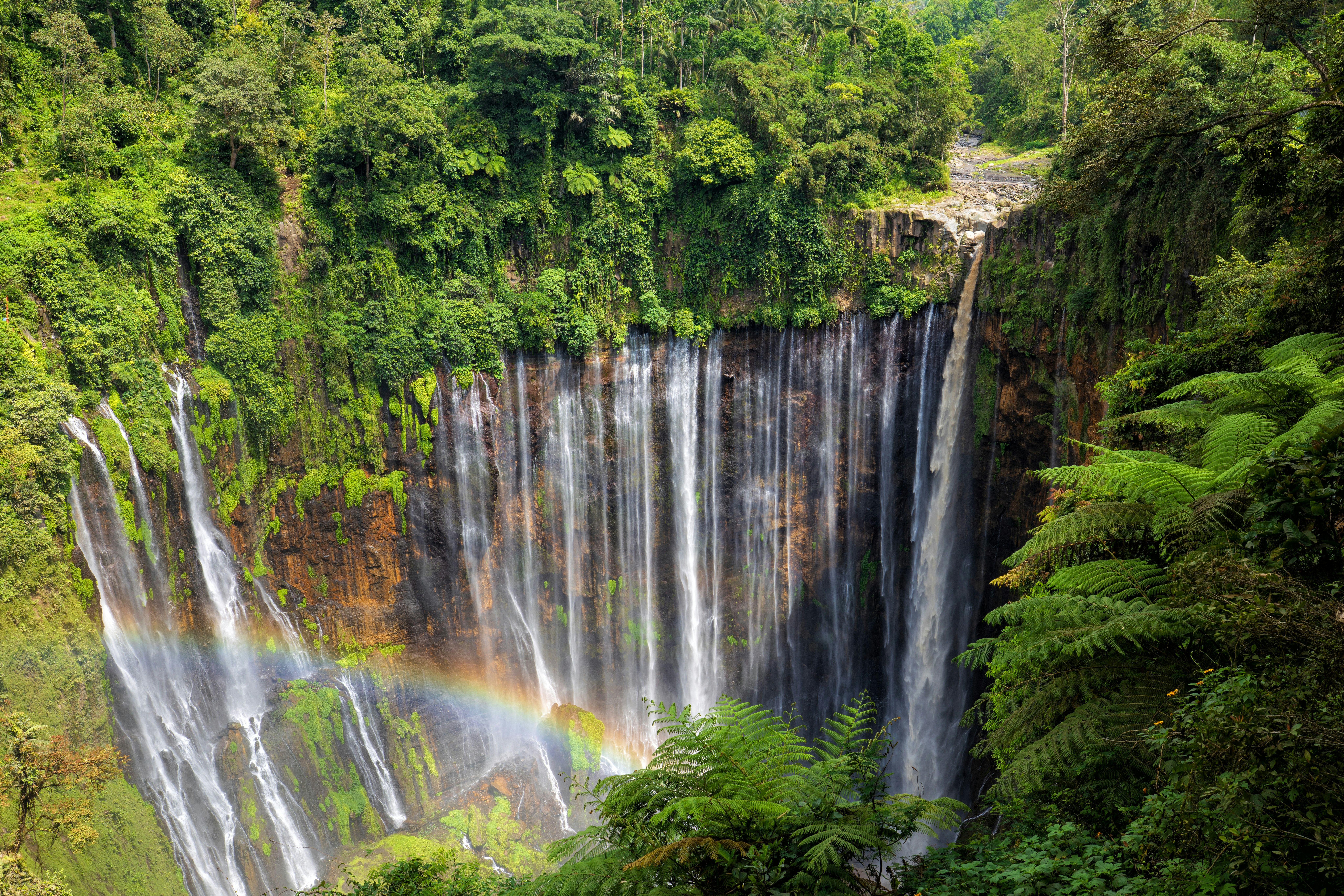 Majestic multi-stream waterfall with a rainbow in a lush forest.