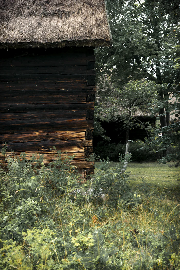 Wooden building with a thatched roof among plants