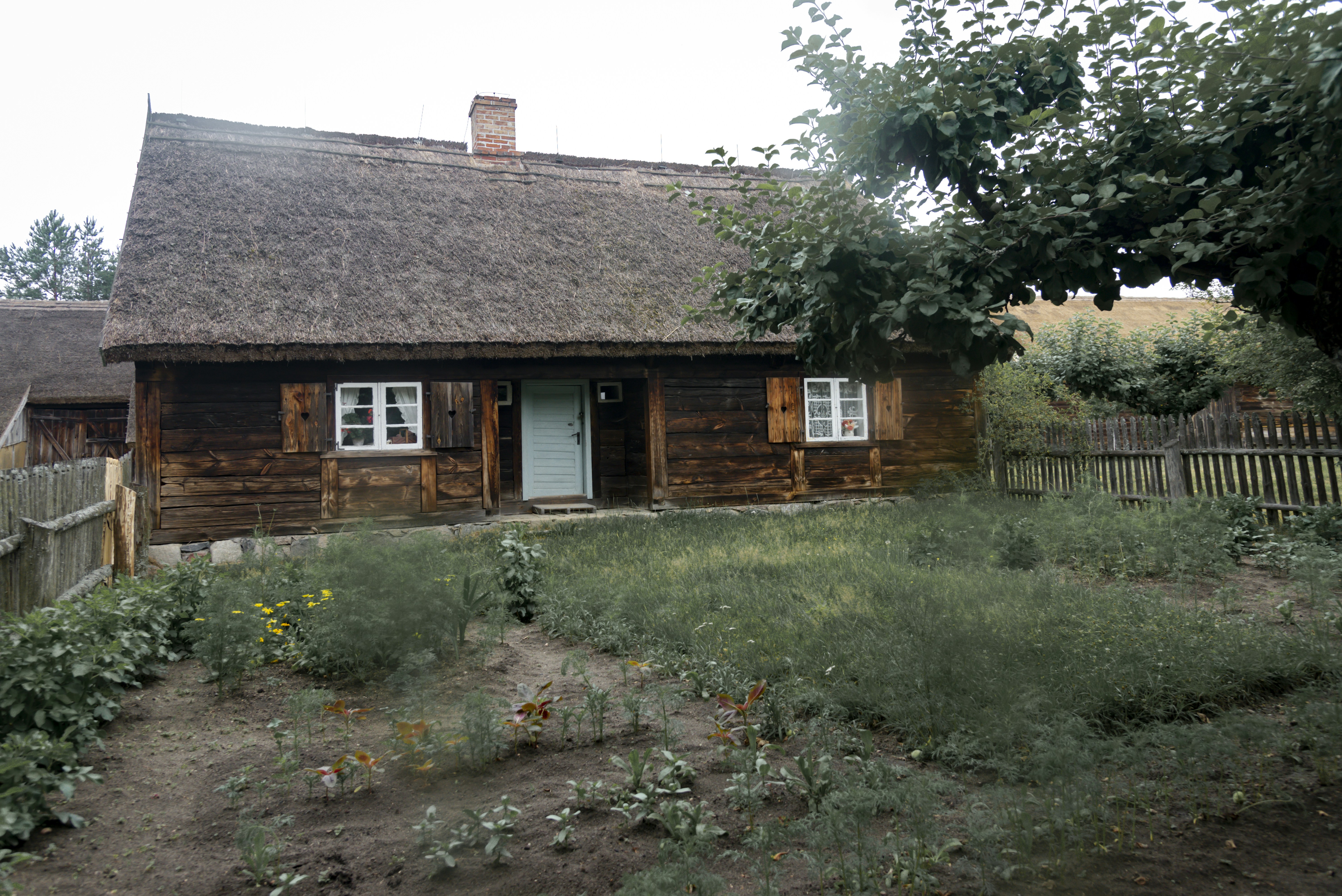 Rustic wooden house with thatched roof and green yard