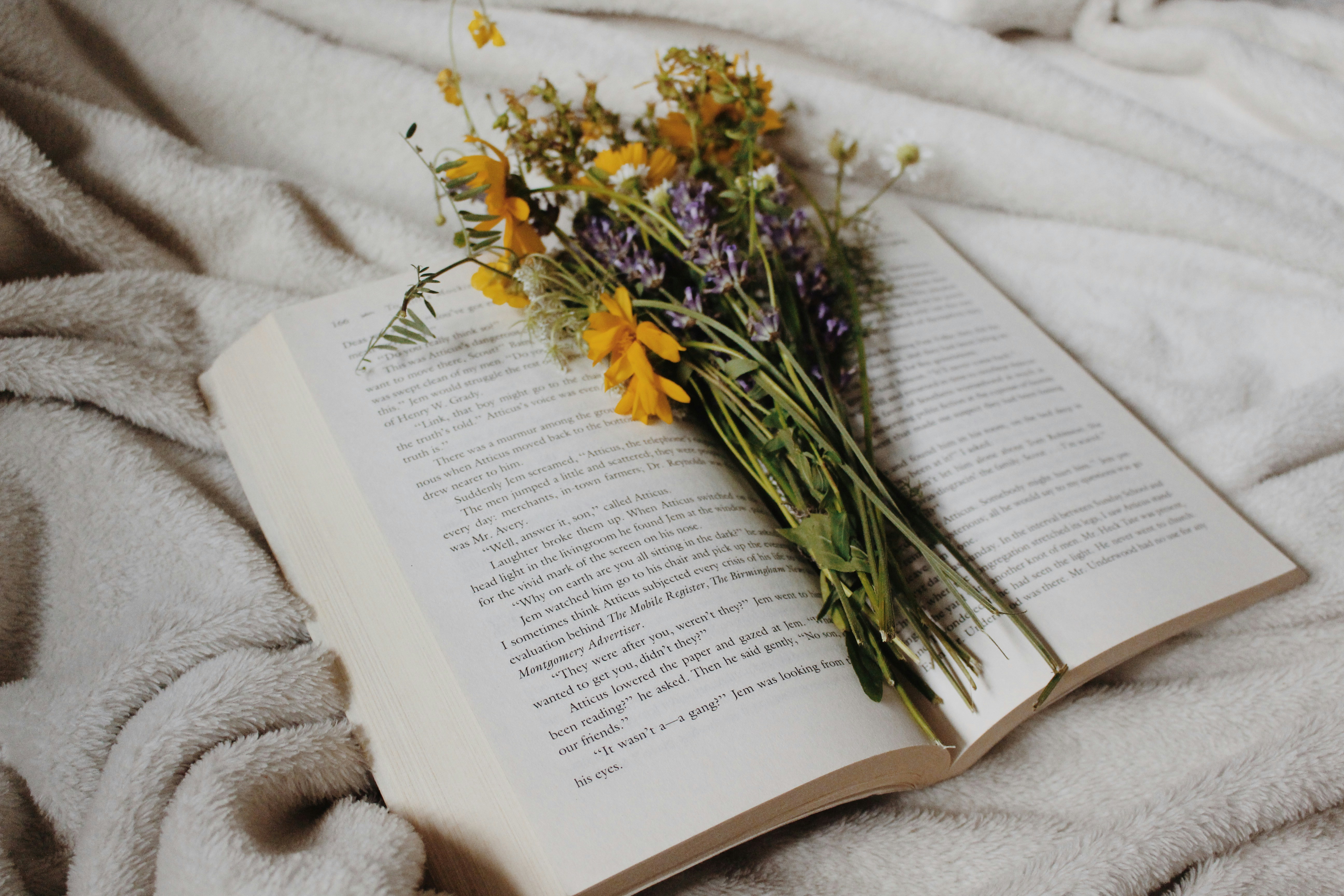 An open book with wildflowers on a cozy blanket