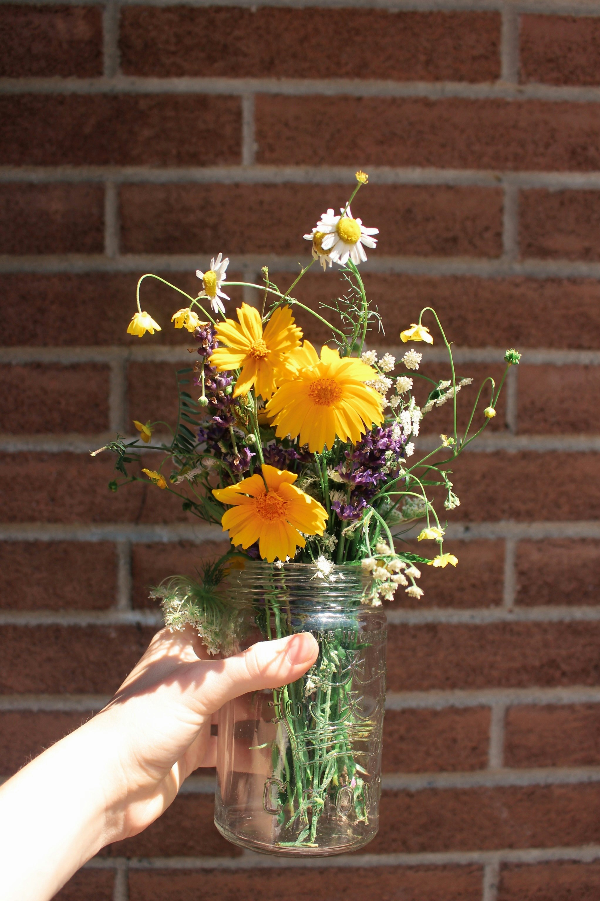 Hand holds jar of yellow and white wildflowers