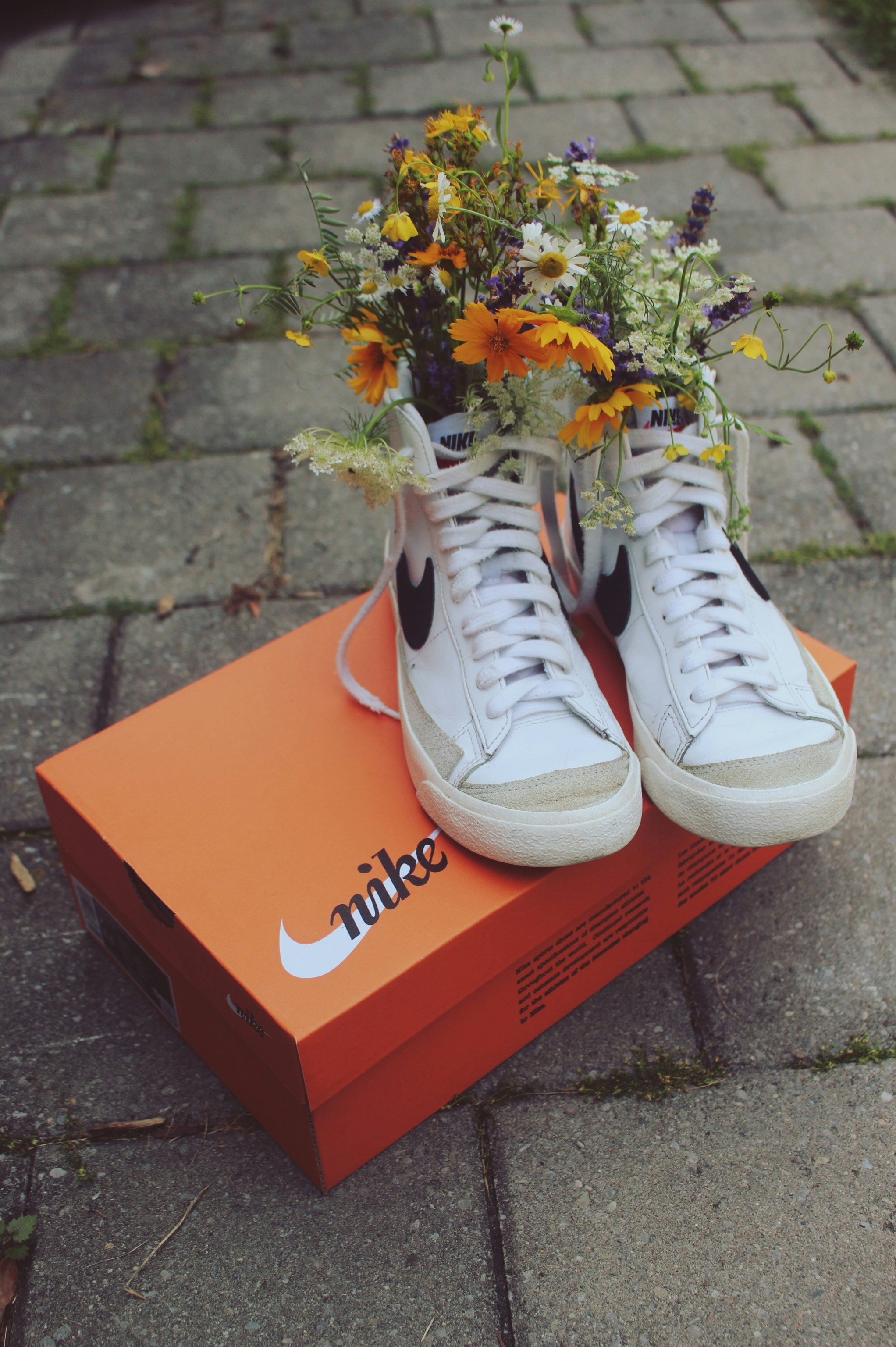 White nike sneakers filled with vibrant wildflowers on shoebox