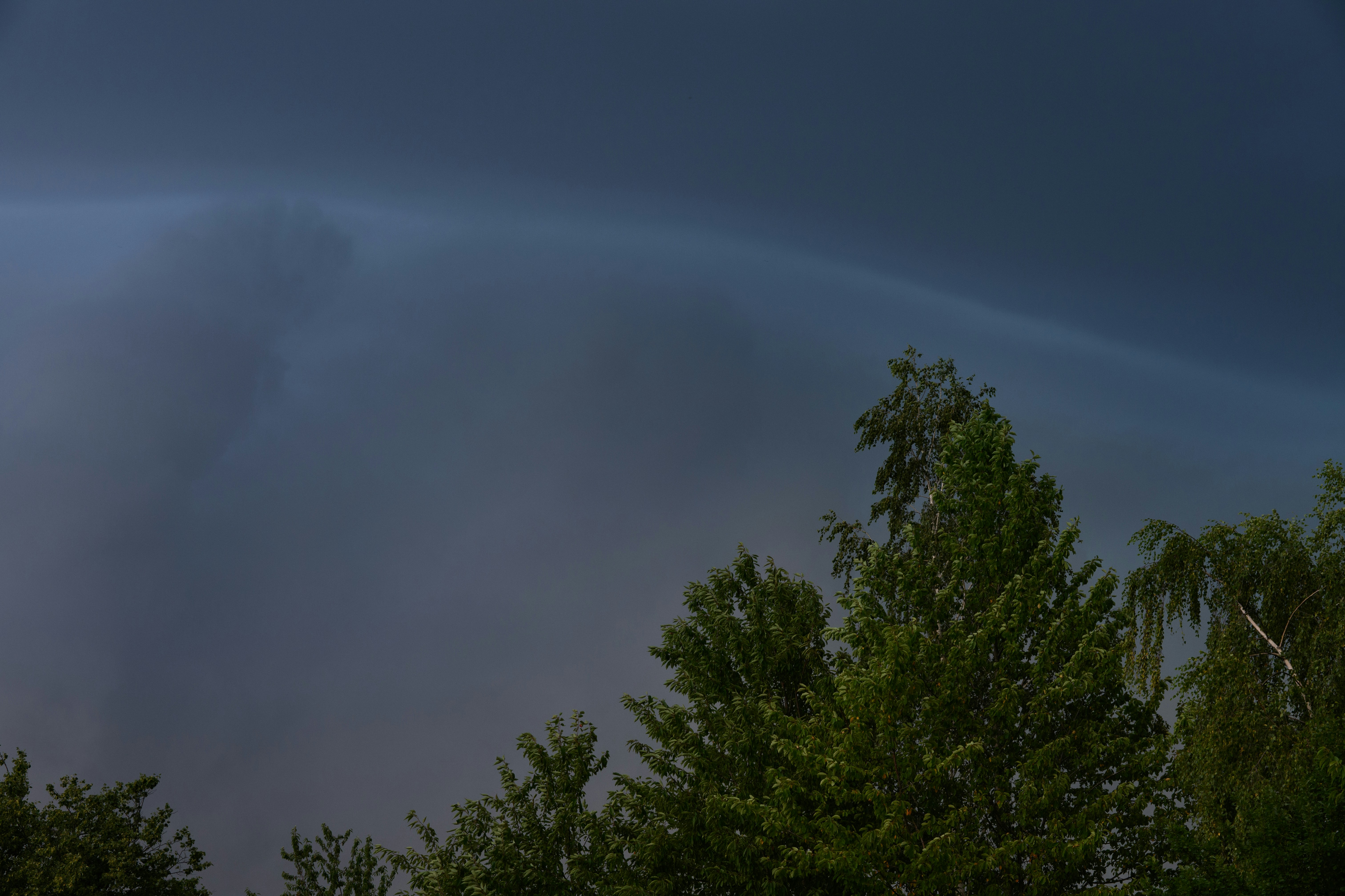 Dark storm clouds gather over green treetops