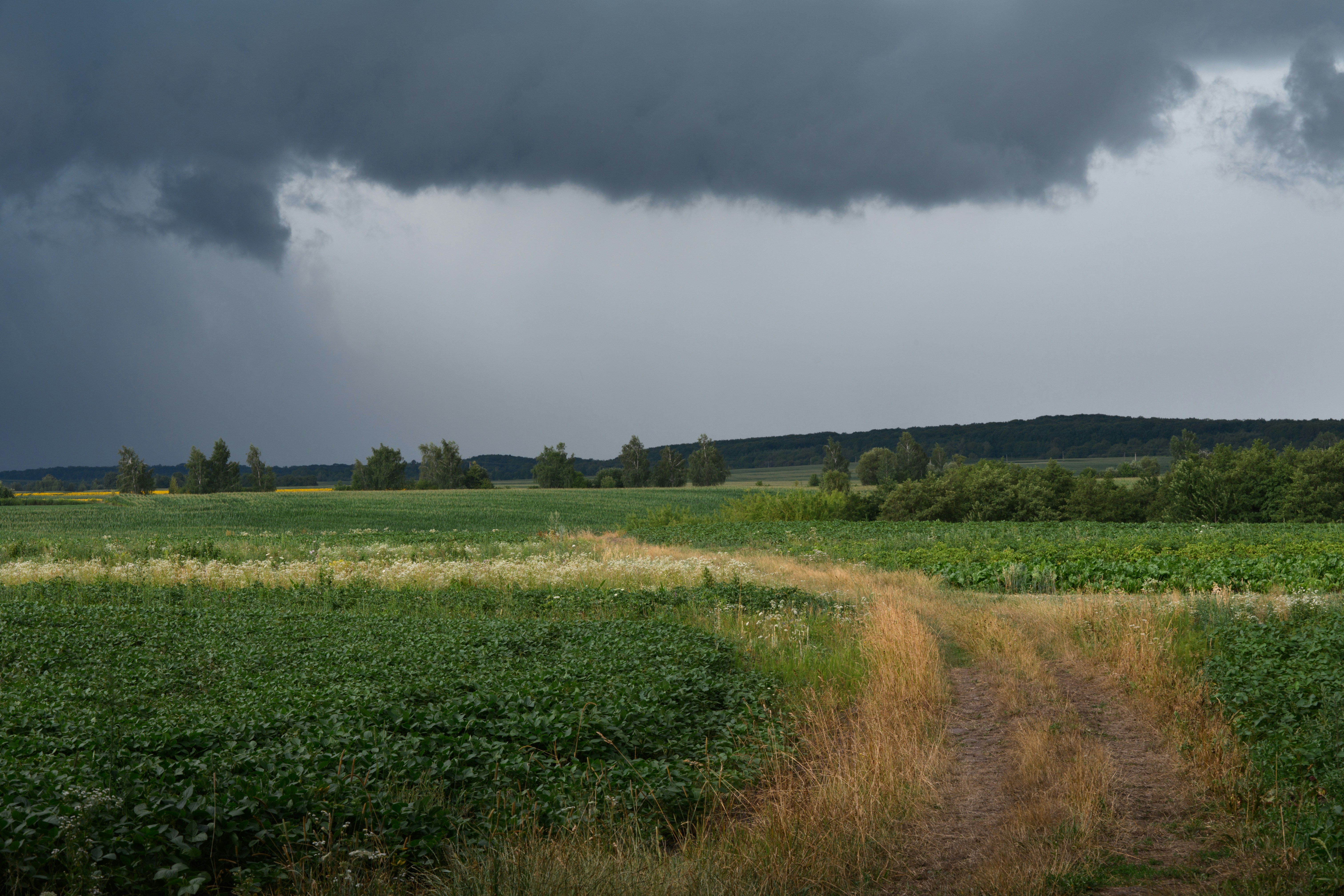 Dark storm clouds over a green field and dirt path