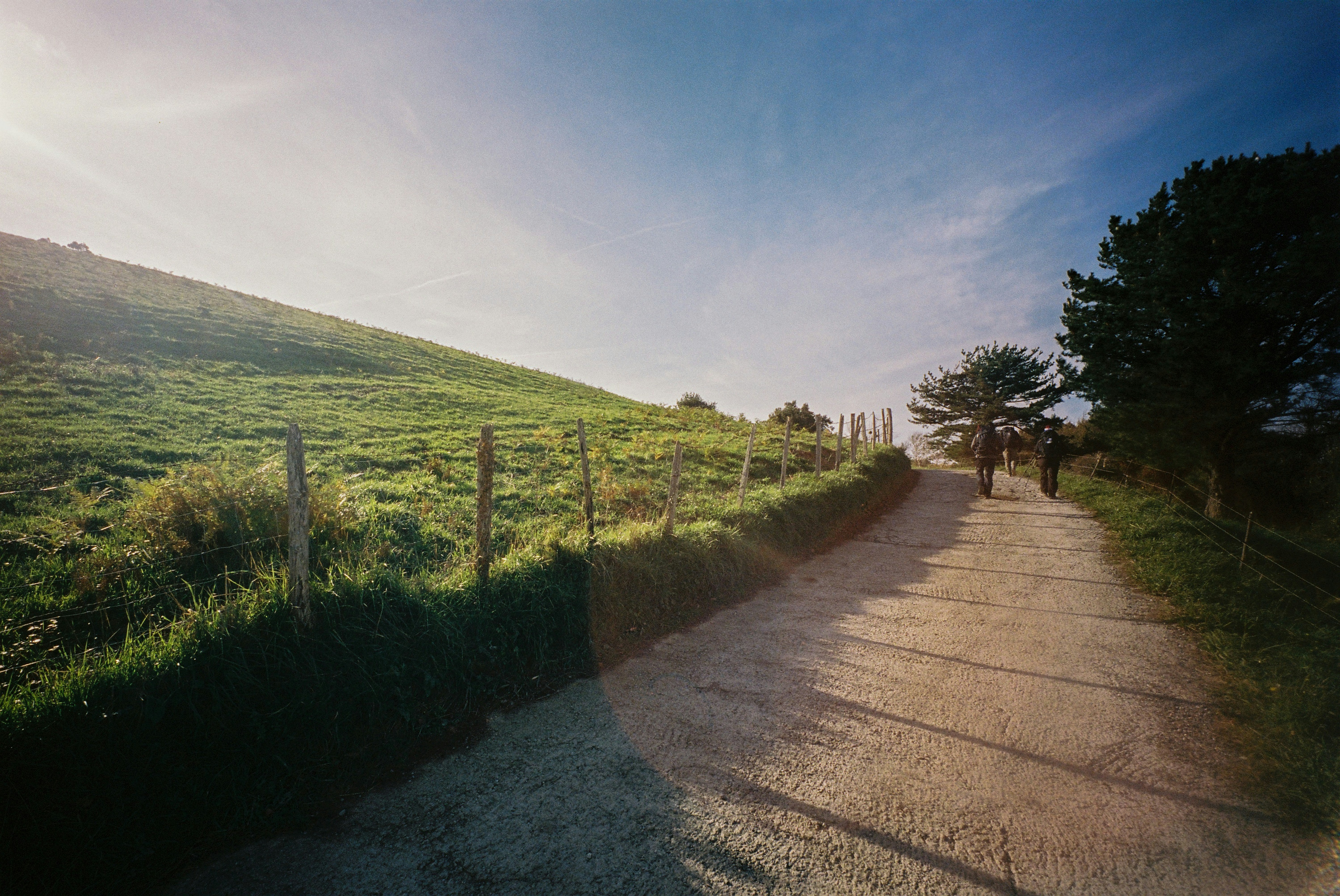 Sunny dirt path alongside a grassy hill and trees