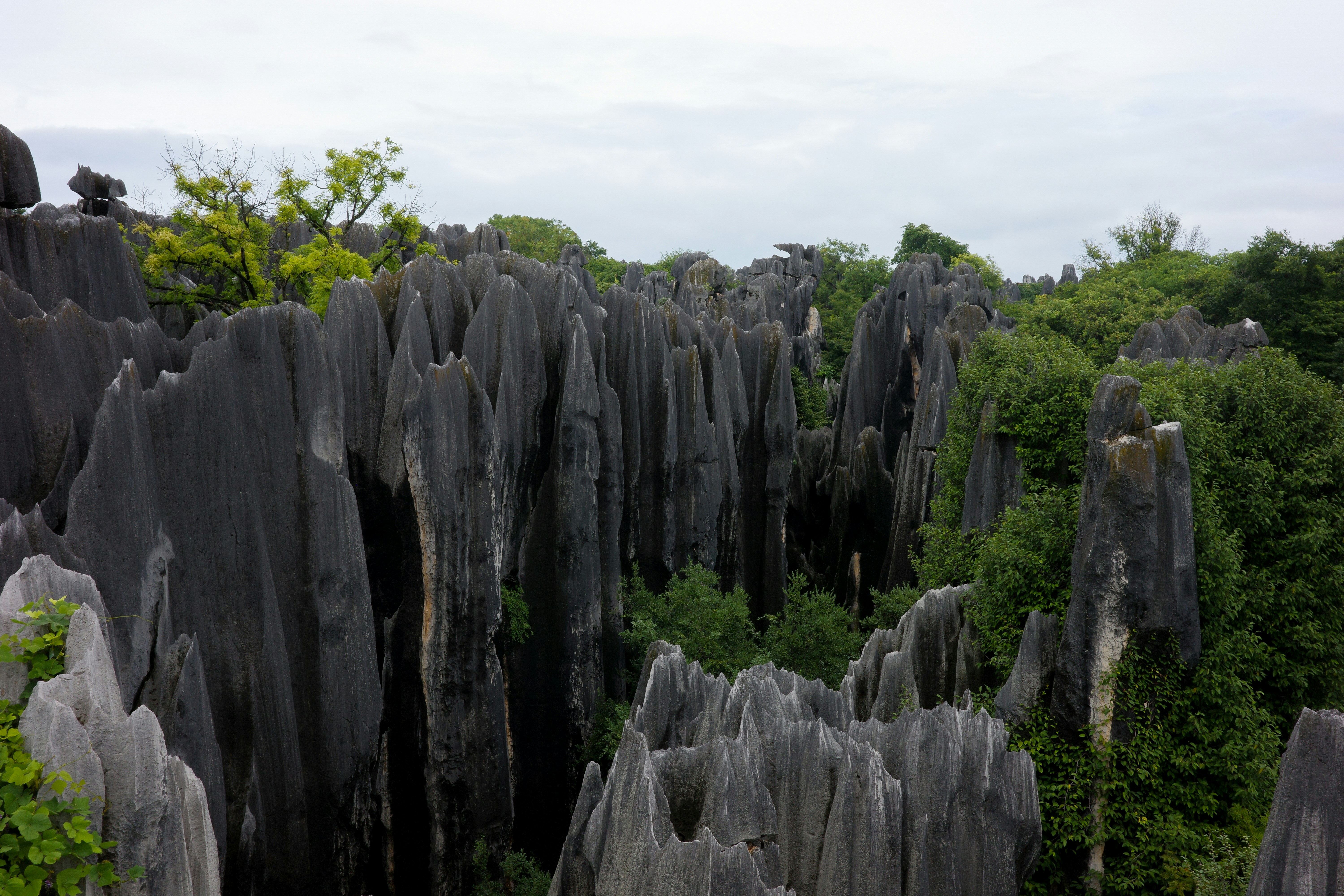 UNESCO World Heritage Recognition: Why Hin Nam No Karst Matters - Hin Nam No karst Laos