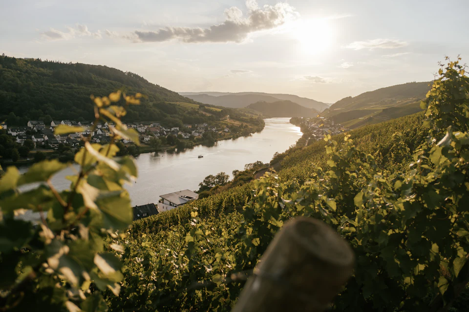 Boucle d'une rivière entre des coteaux de vigne, village sur l'autre rive, au soleil couchant
