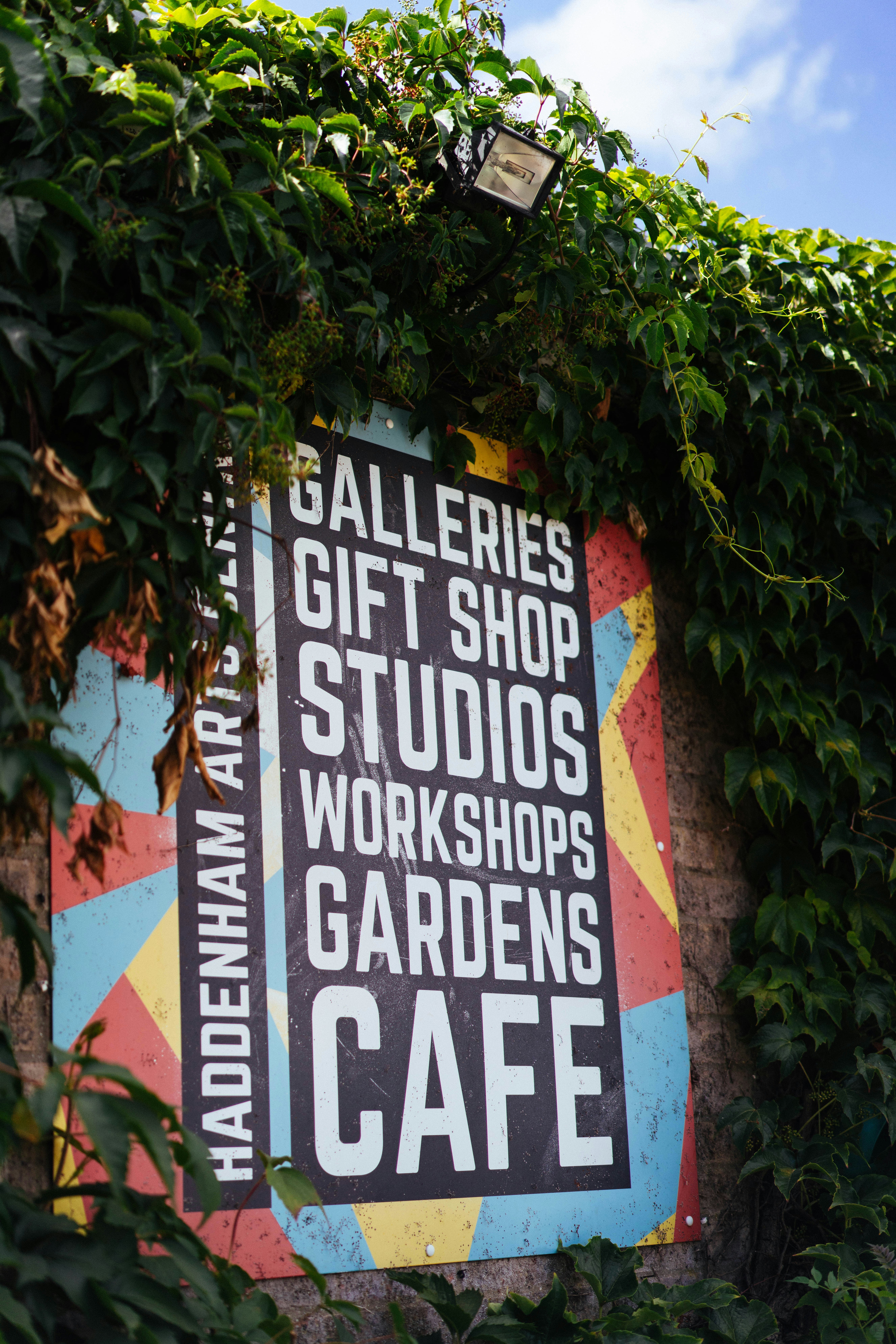Colorful haddenham arts sign partially covered by green ivy.