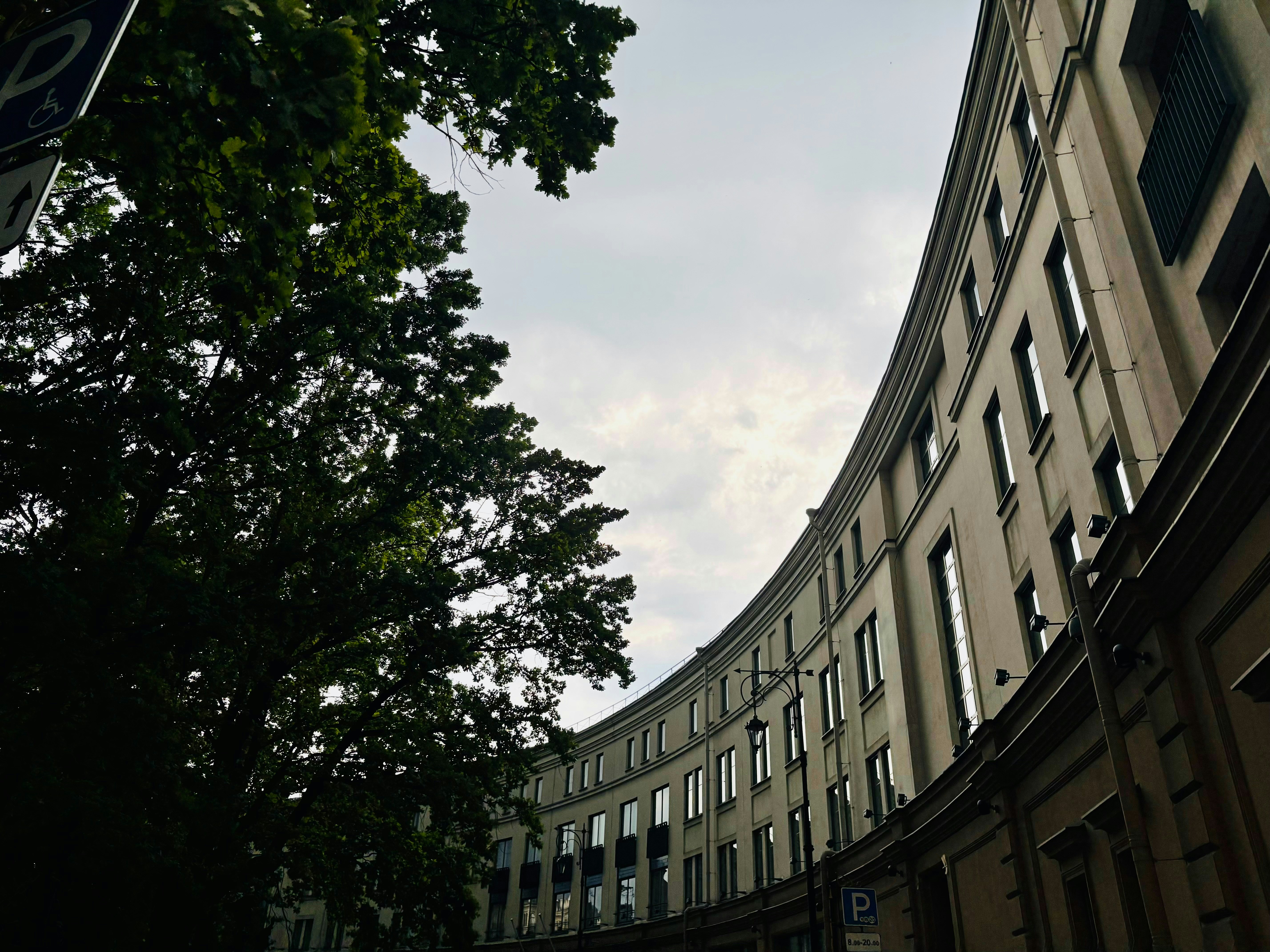 Architectural facade of a curved building with a large tree.