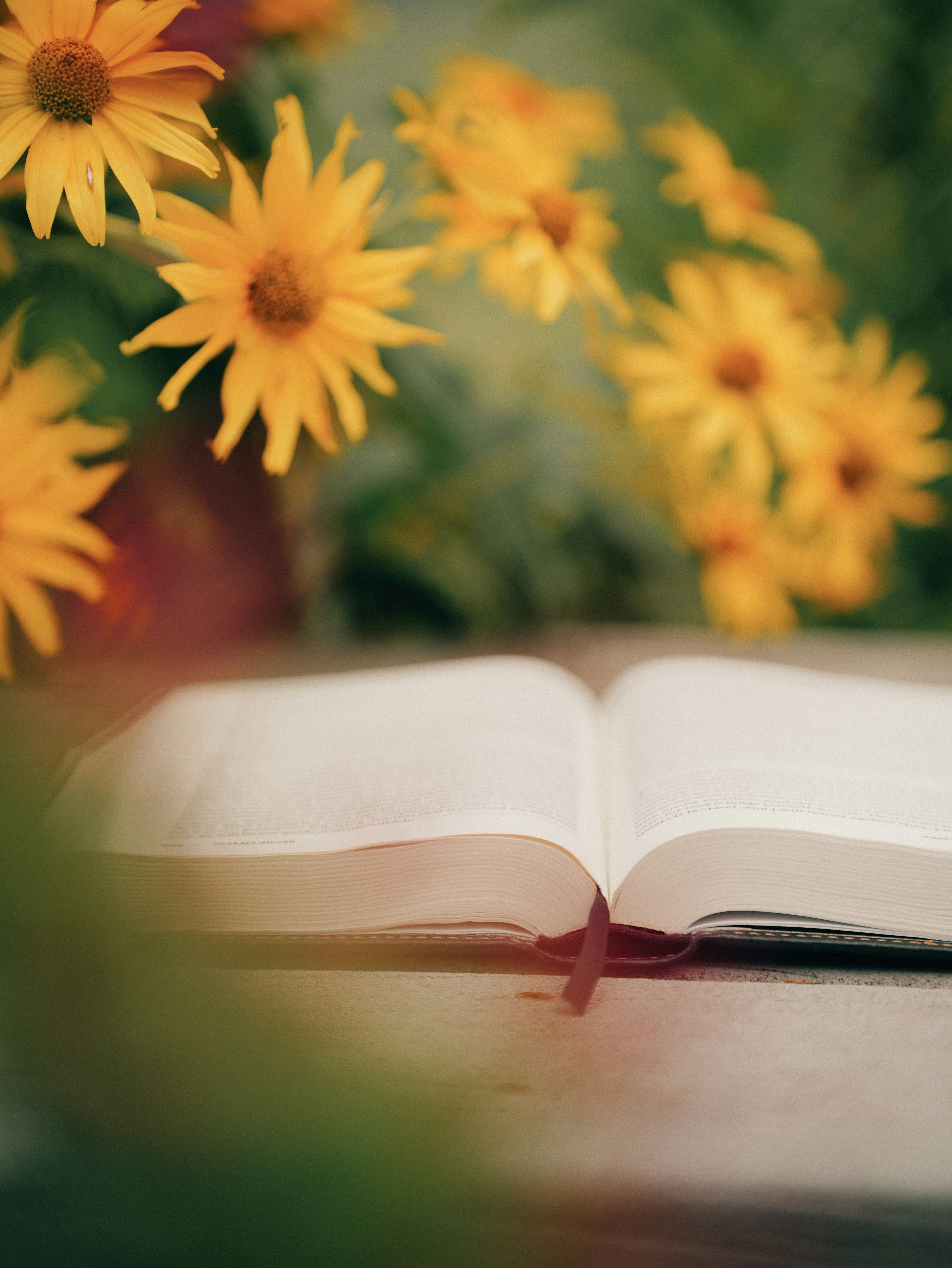Open book with red bookmark and yellow flowers