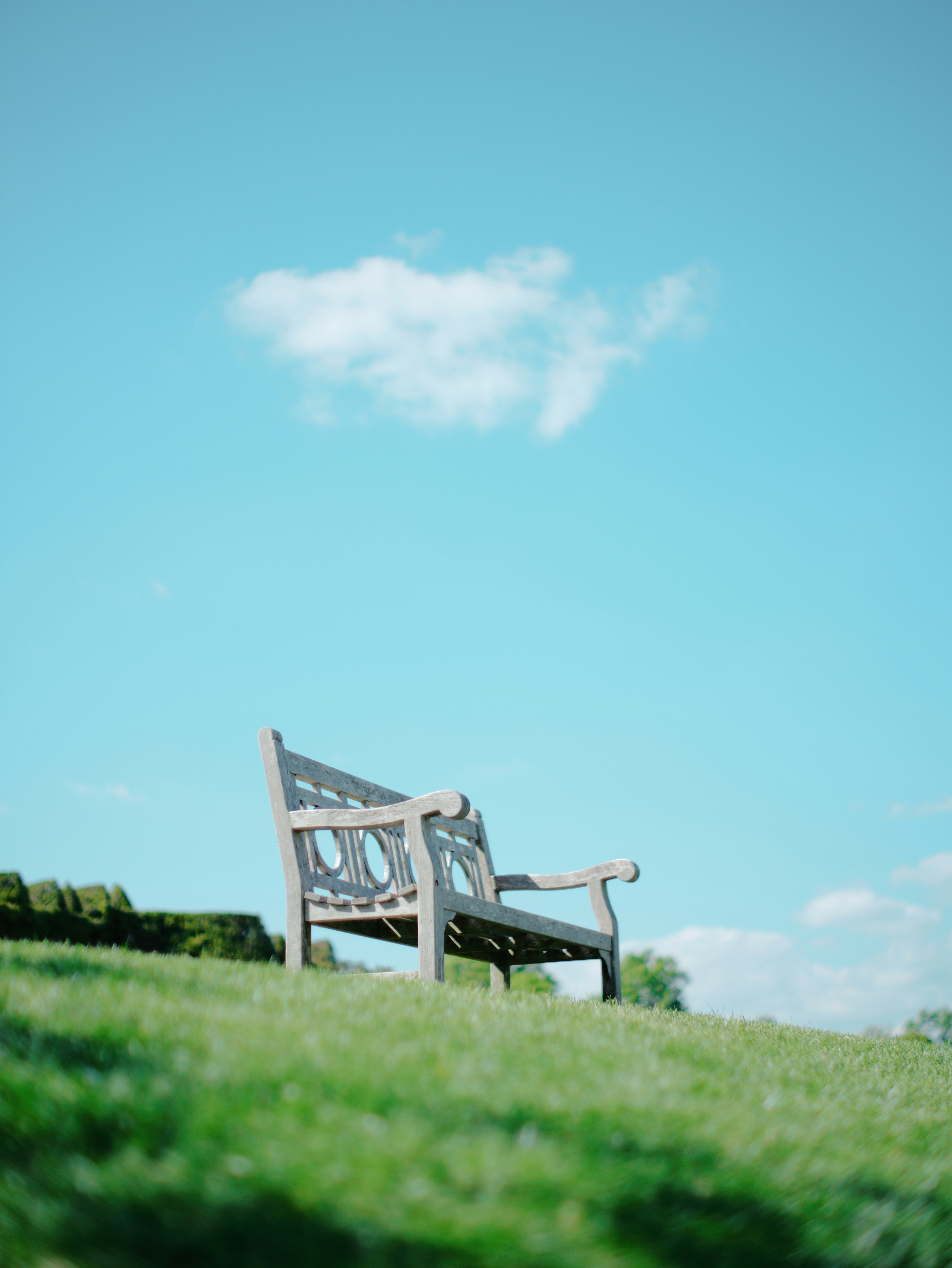 Ornate wooden bench on grassy hill under blue sky