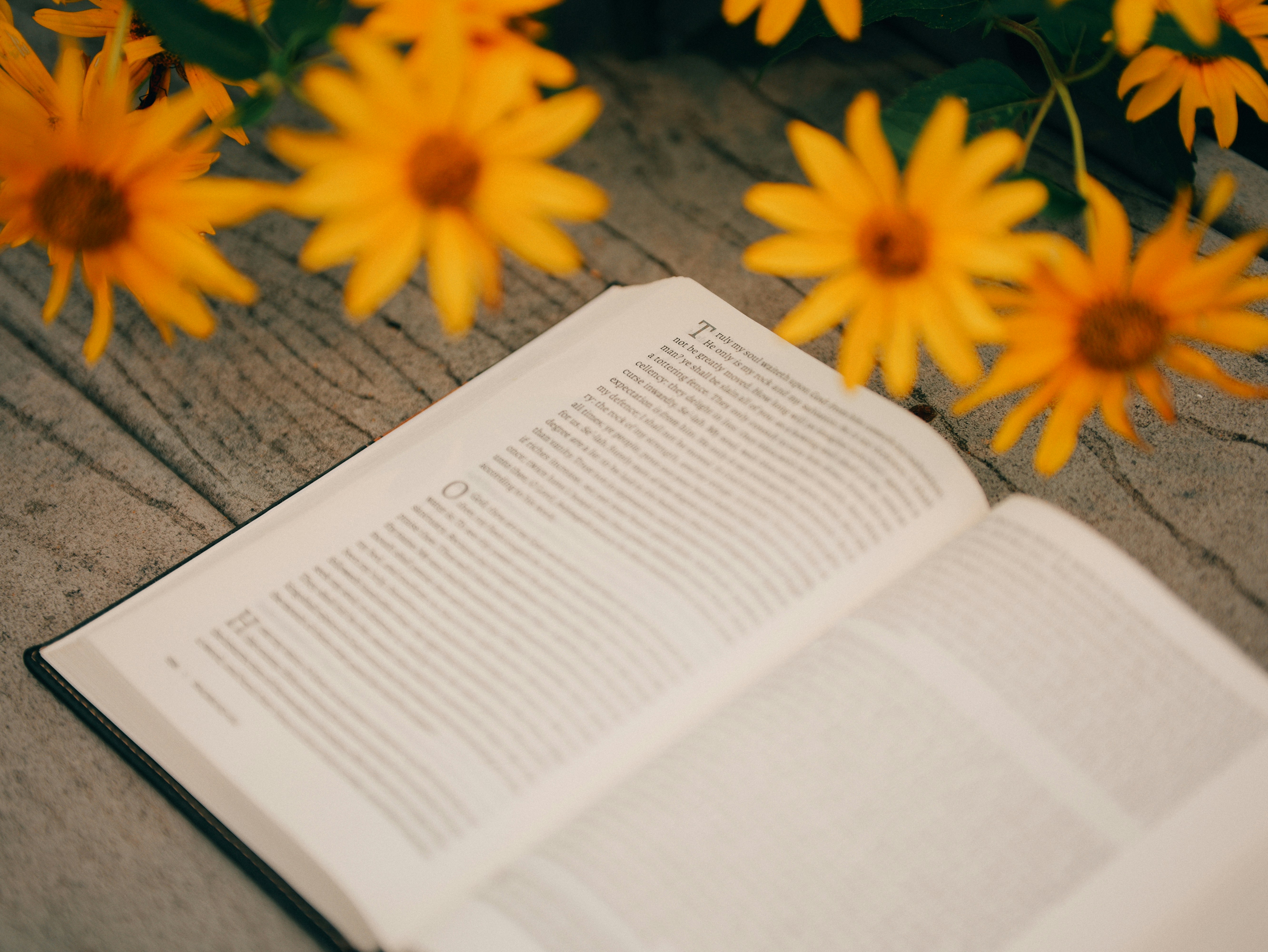 Open book on wooden surface with yellow flowers