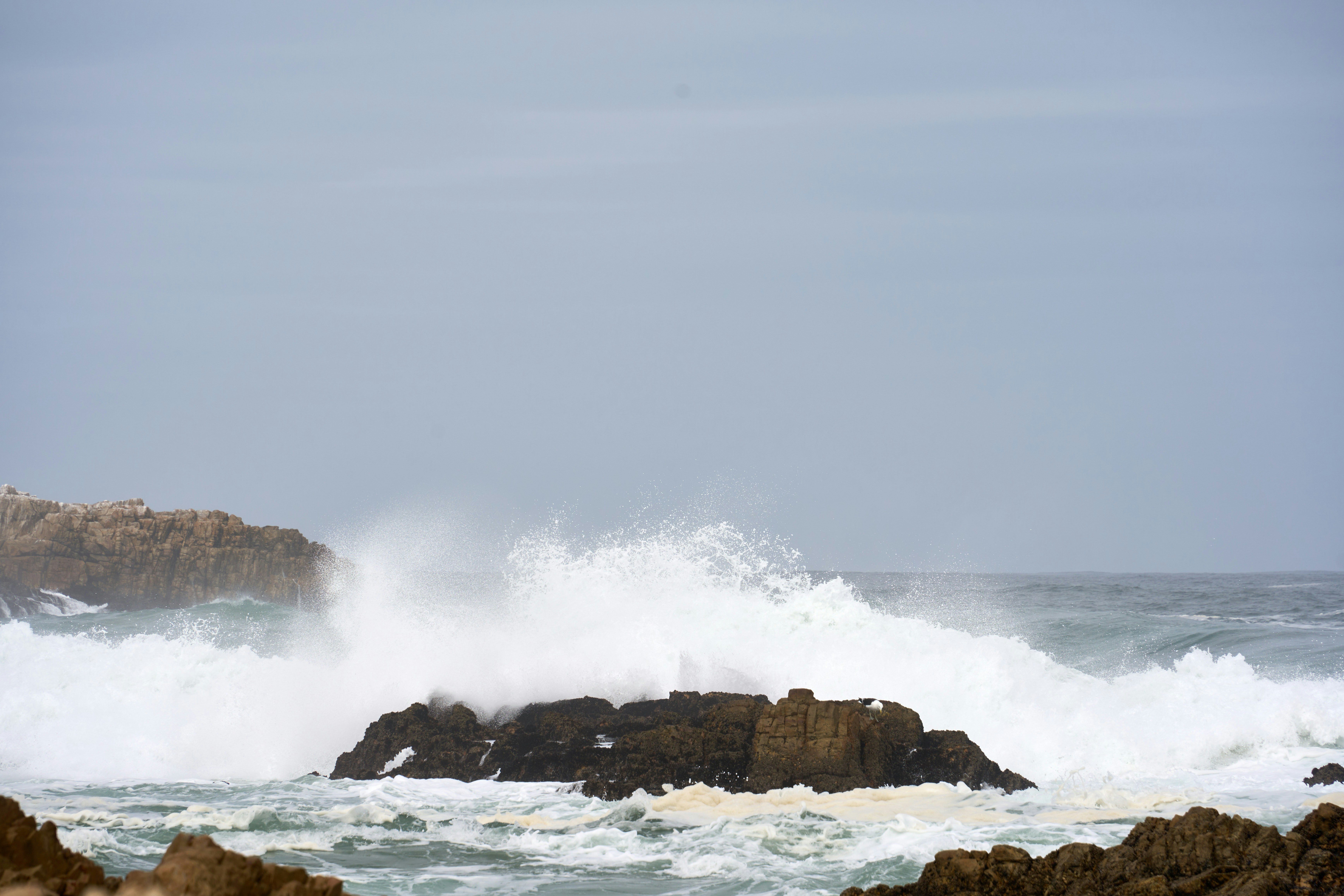 Powerful ocean waves crash against dark coastal rocks.