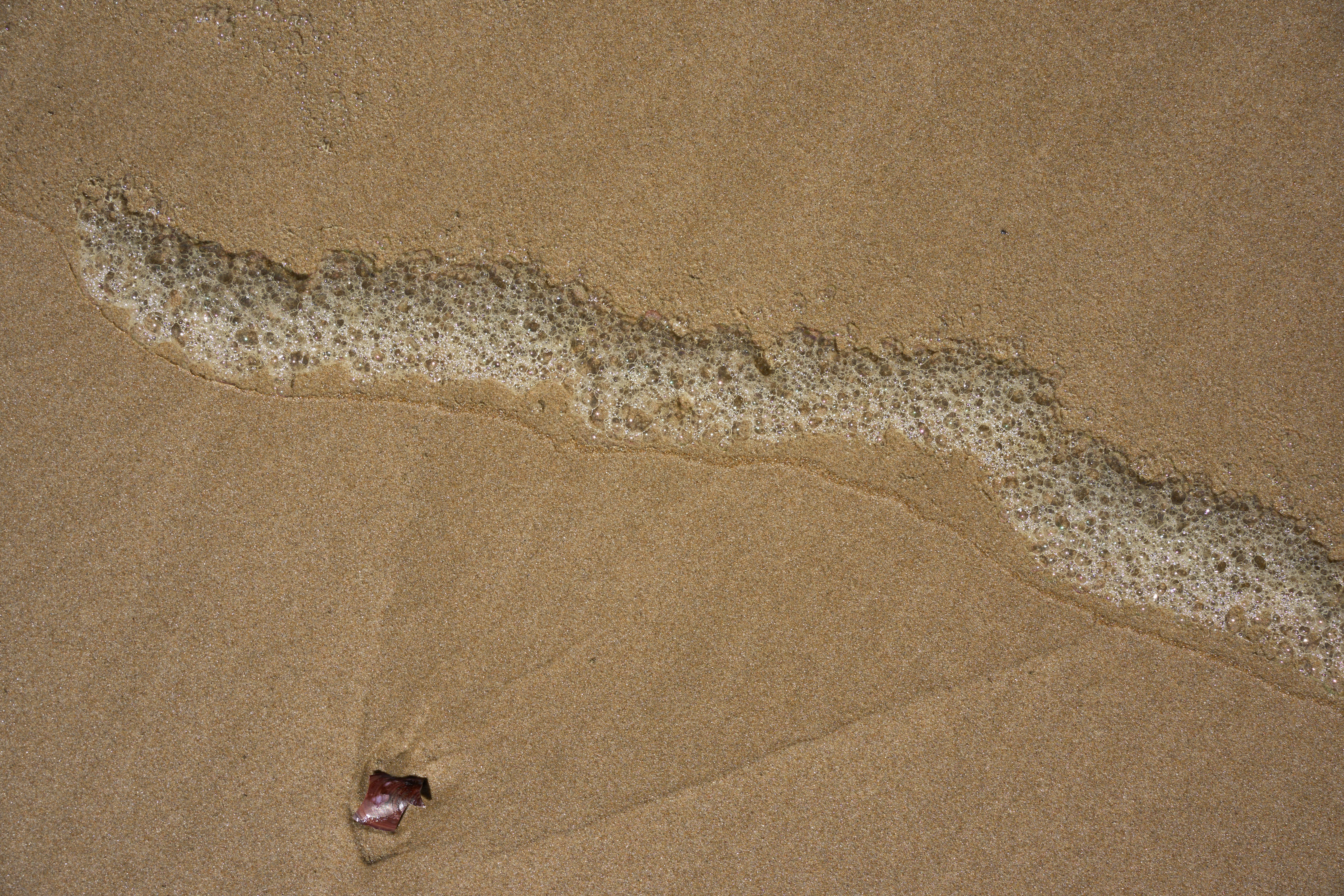 Foamy wave residue on a sandy beach.