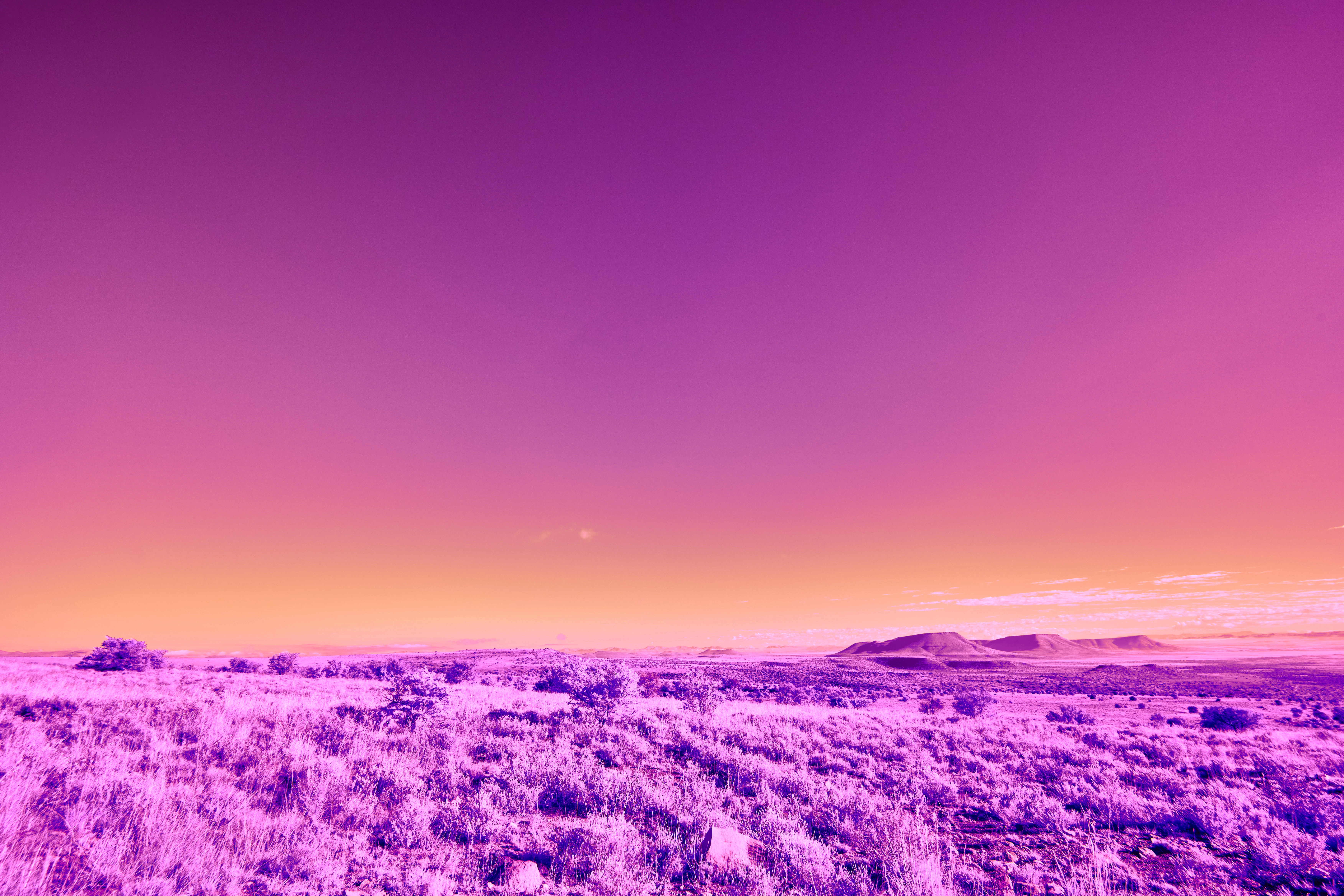 Wallpaper