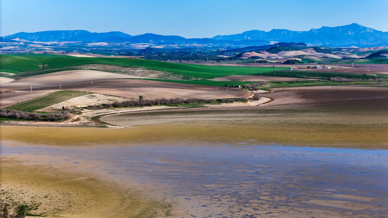 Marisma con lámina de agua poco profunda y vegetación baja al atardecer
