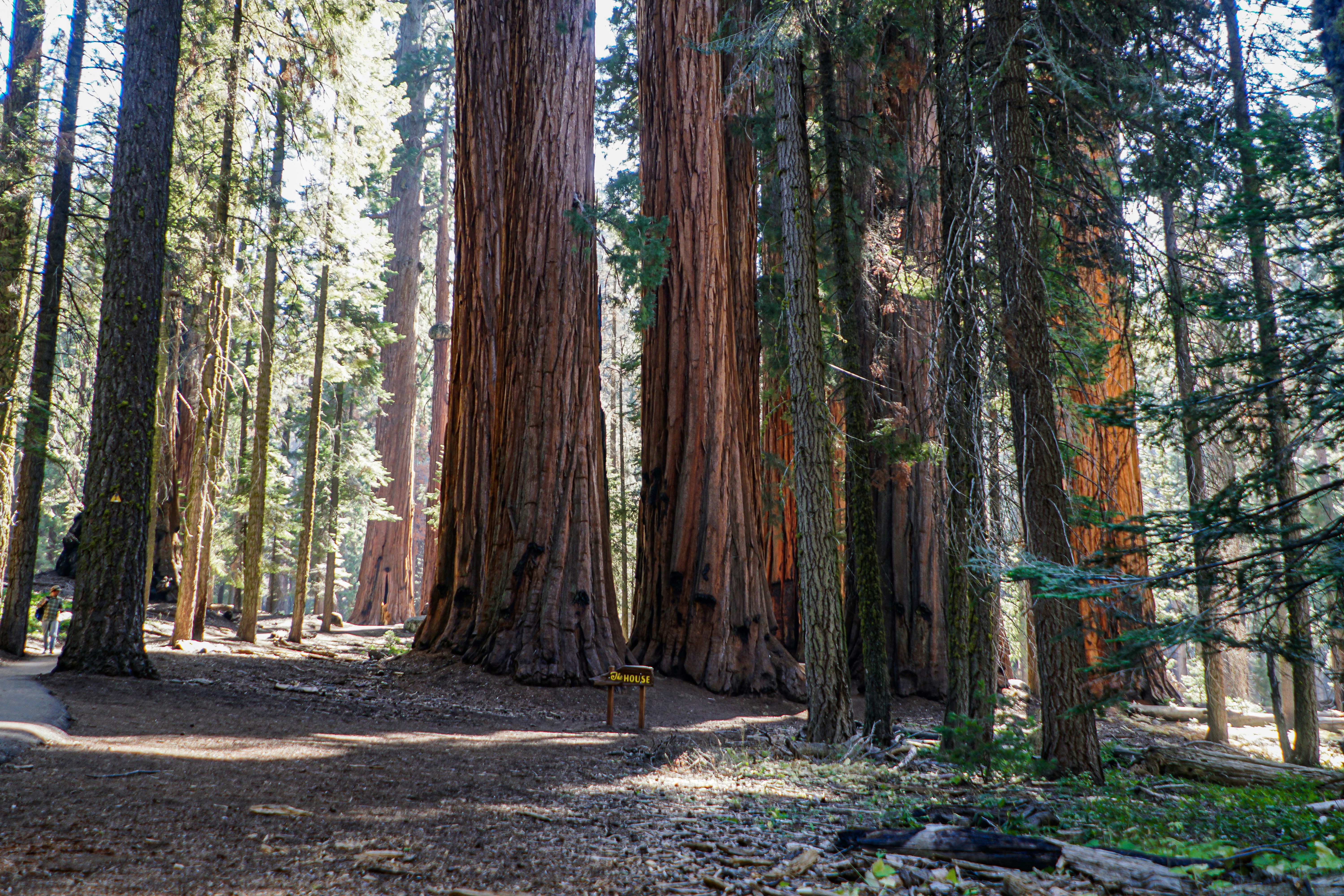 photo by Patrick Mayor (@pmayorphotos) on unsplash