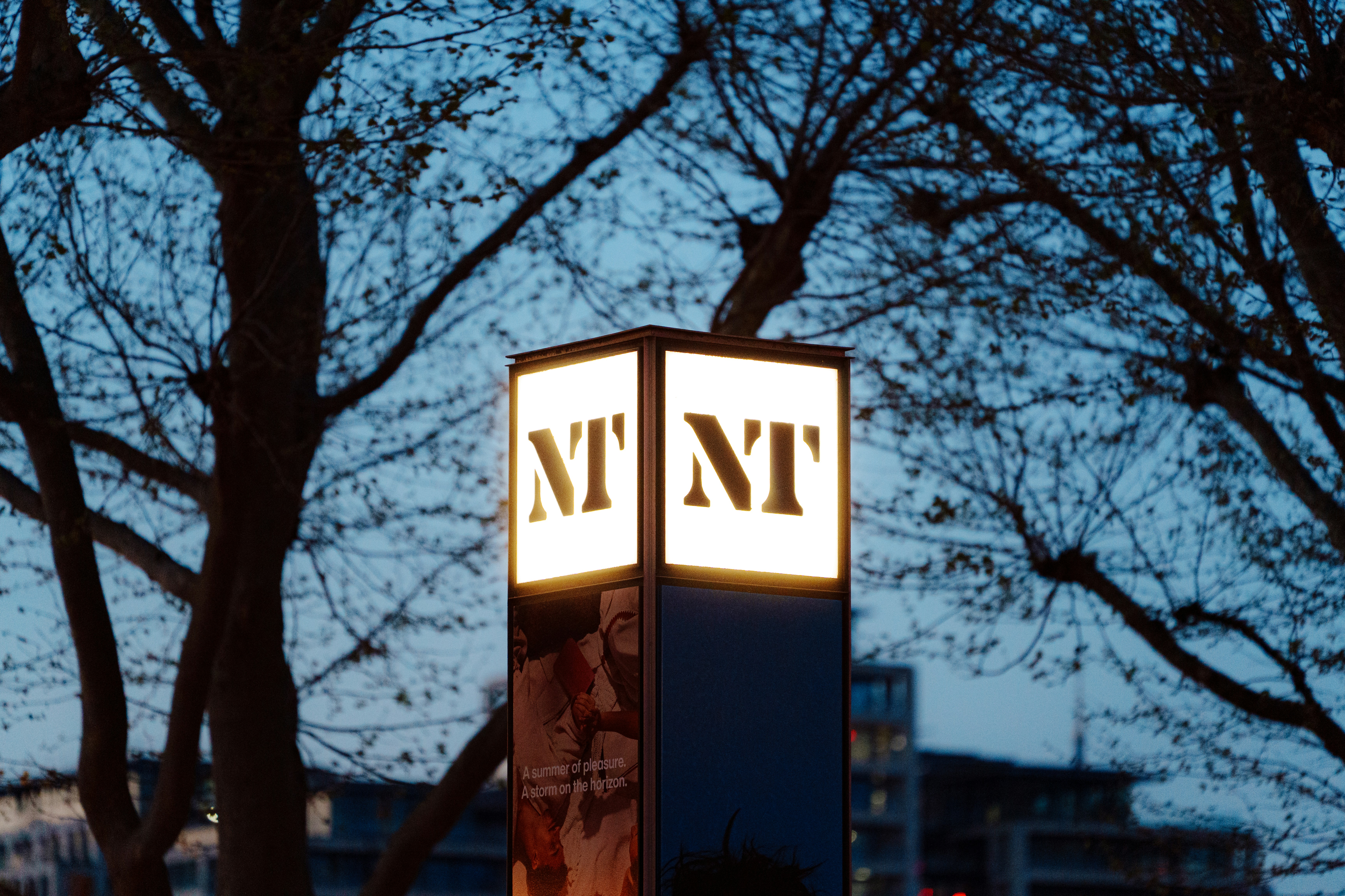Cartello luminoso "nt nt" al crepuscolo con rami d'albero in controsagoma.