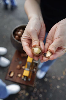 Person's hands cracking open a fresh macadamia nut