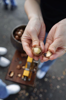 Person's hands cracking open a fresh macadamia nut