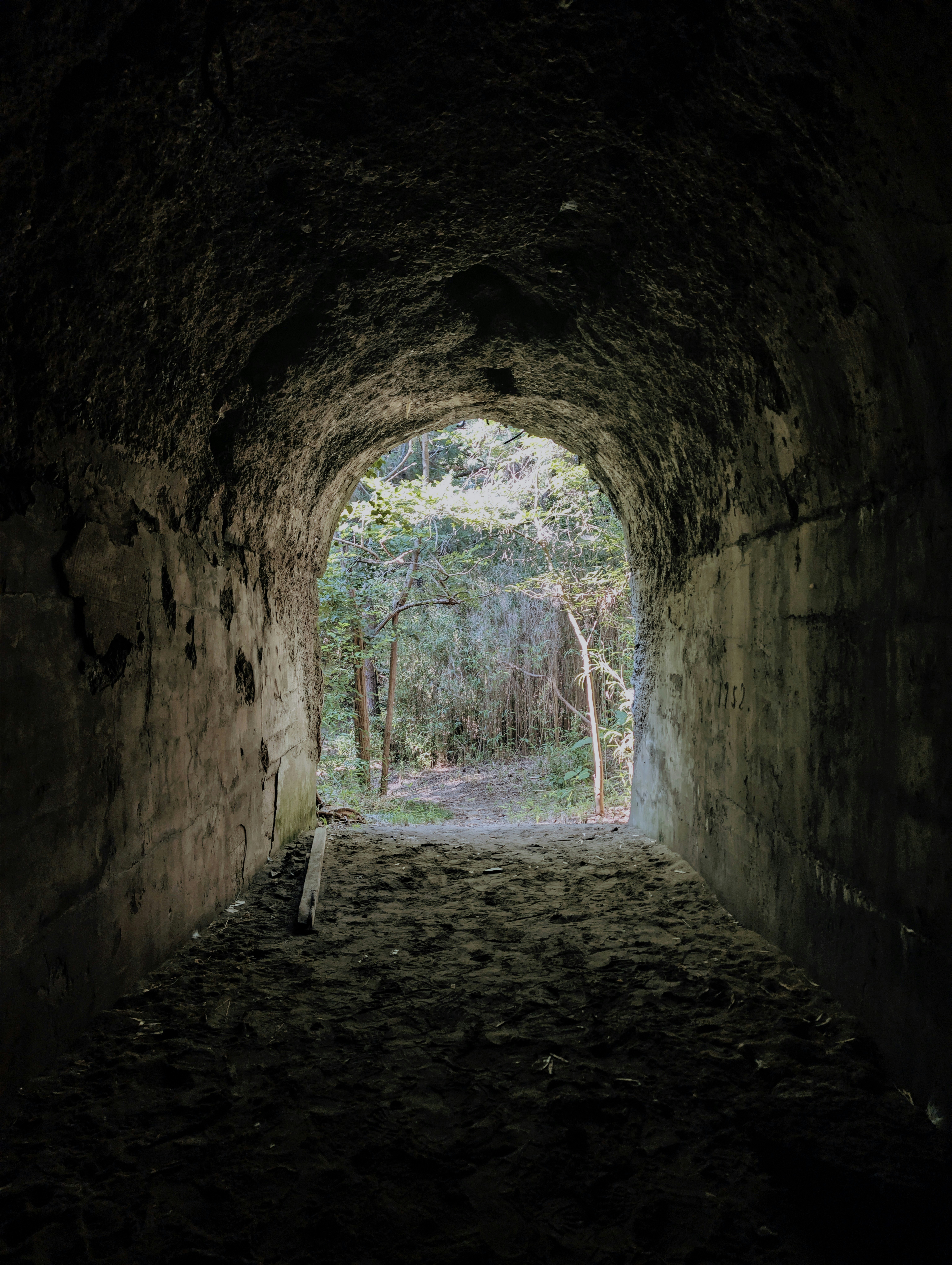 Looking out from inside a dark concrete arch toward sunlit trees and a path.
