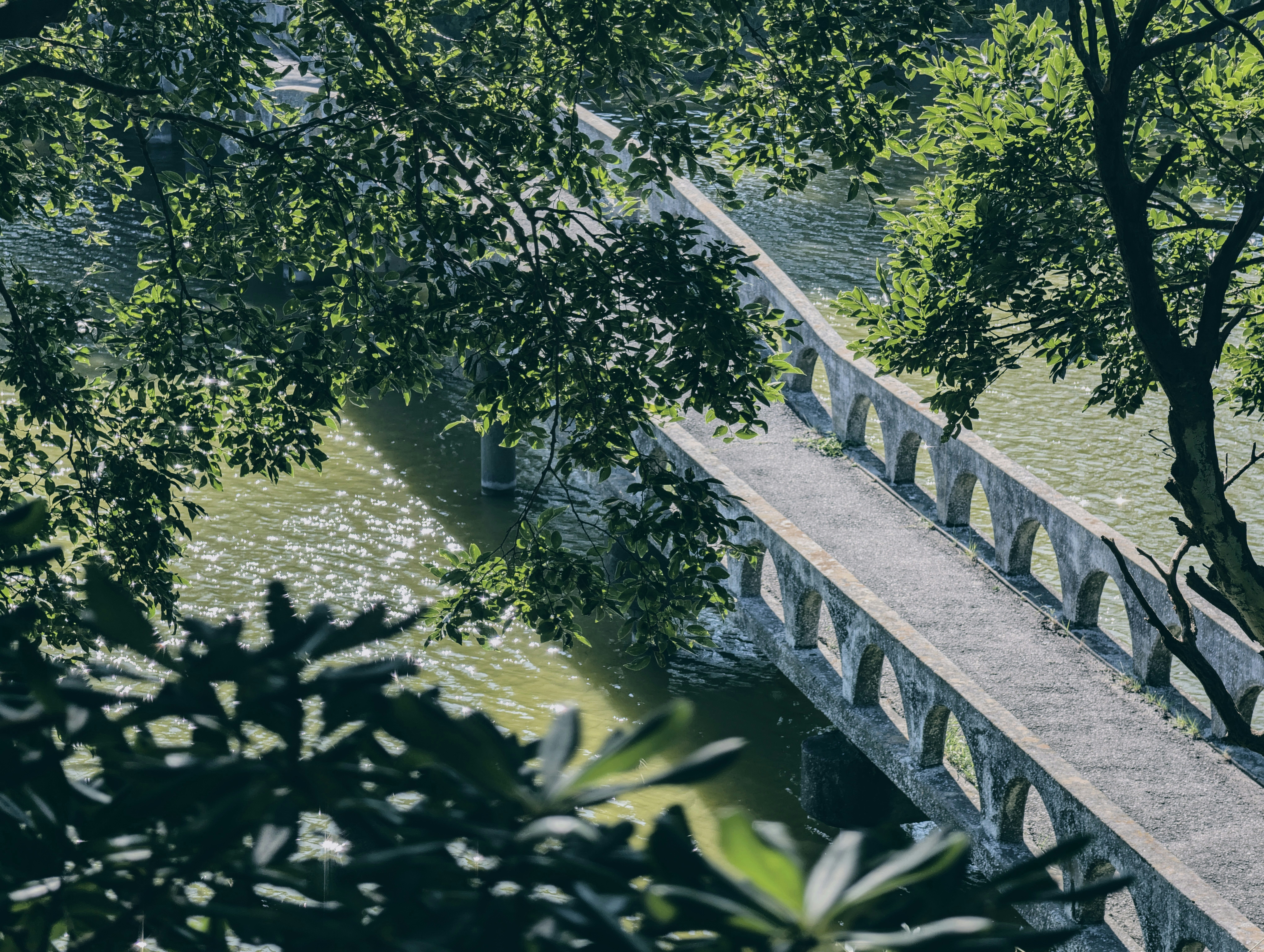 A concrete bridge with arched openings along its sides crosses green water, seen from above through tree branches. Sunlight glitters on the water.