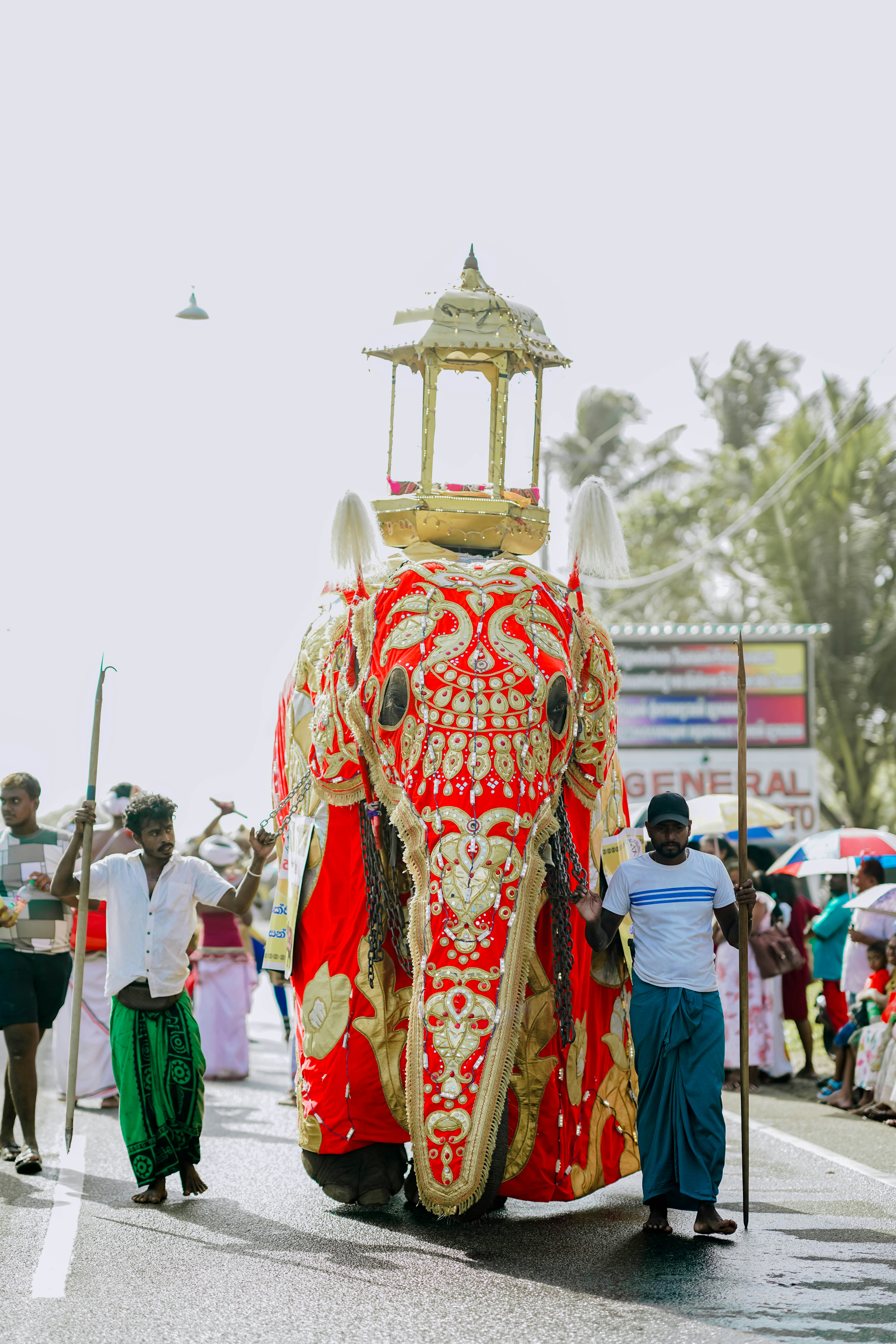 Decorated elephant with handlers in a vibrant street procession.