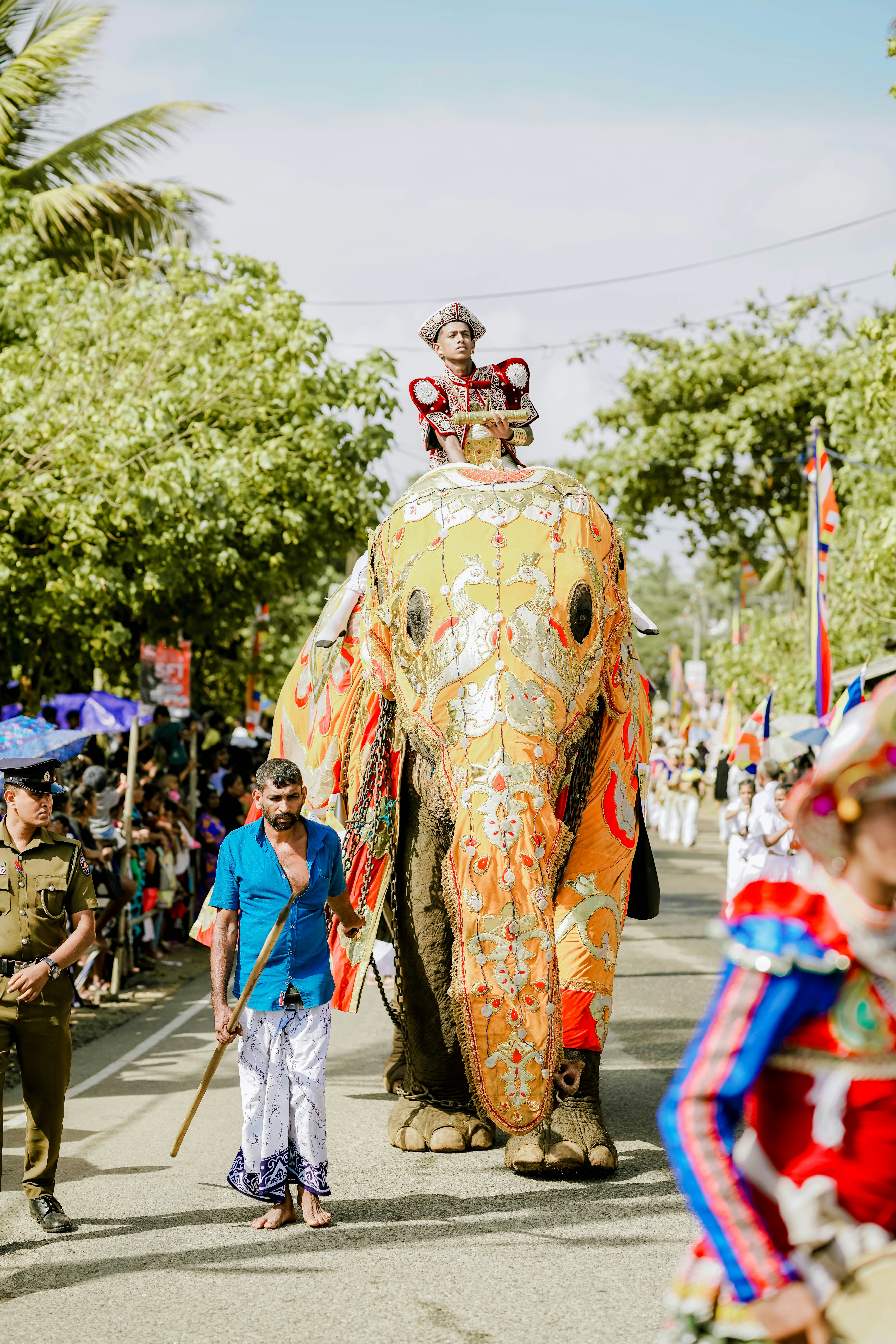Decorated elephant with a rider parades on a sunny street.