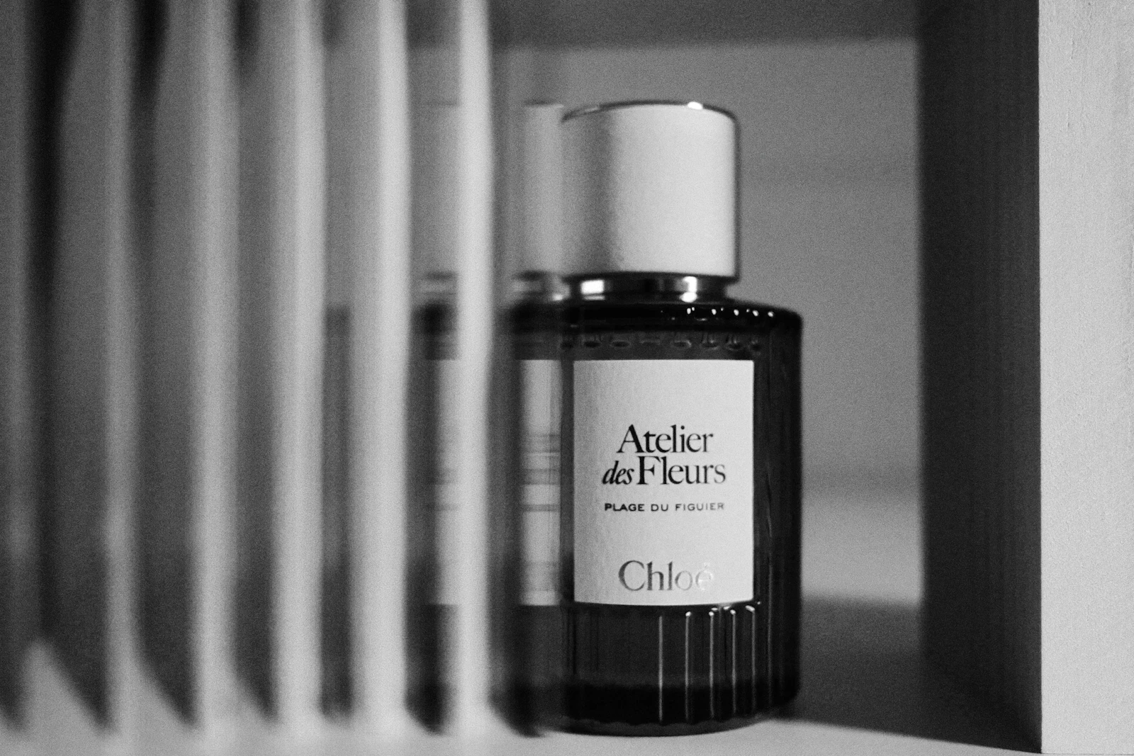 Why Does Every Perfume Now Smell the Same?