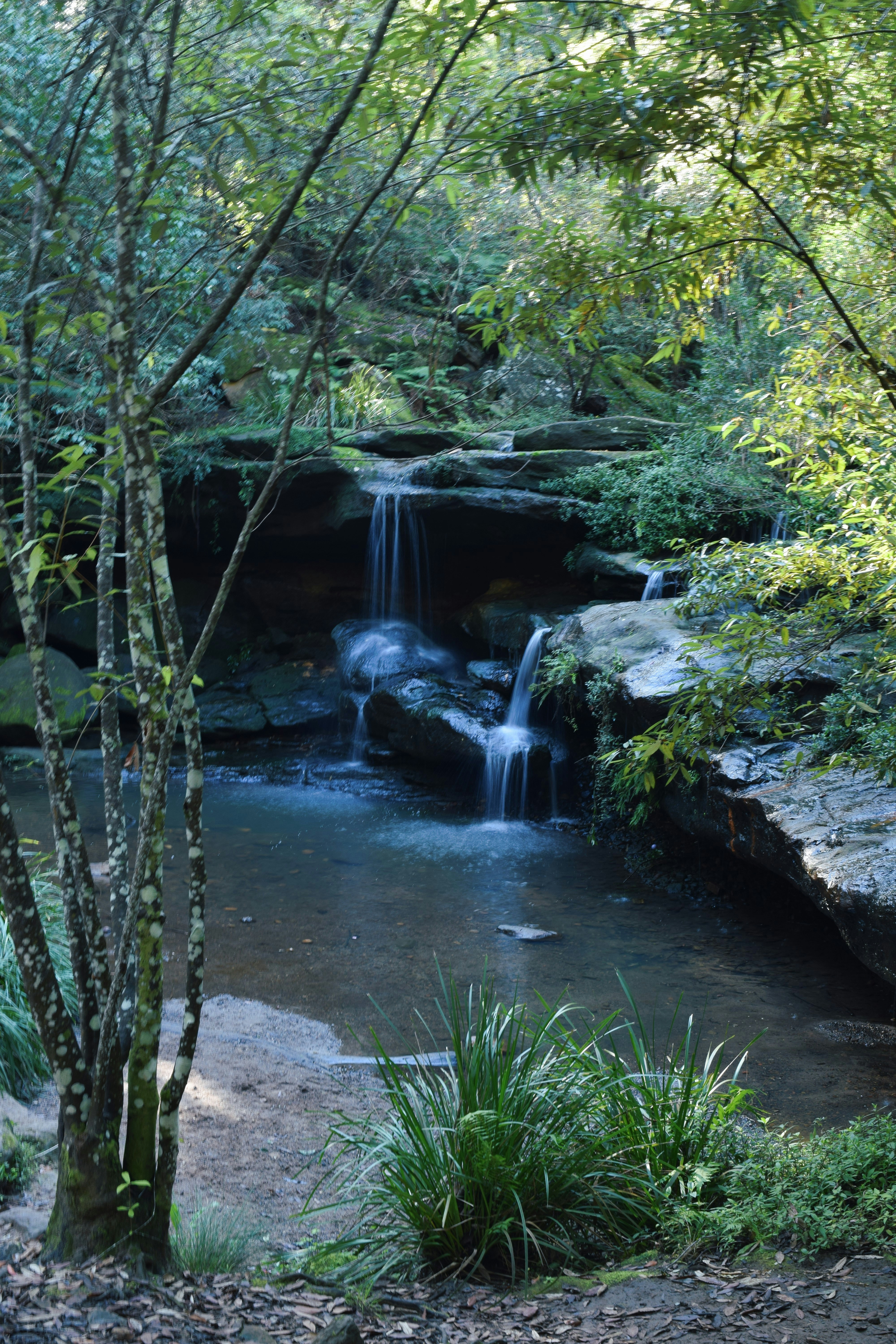 Ein ruhiger Wasserfall stürzt in ein Becken in einem üppigen Wald.