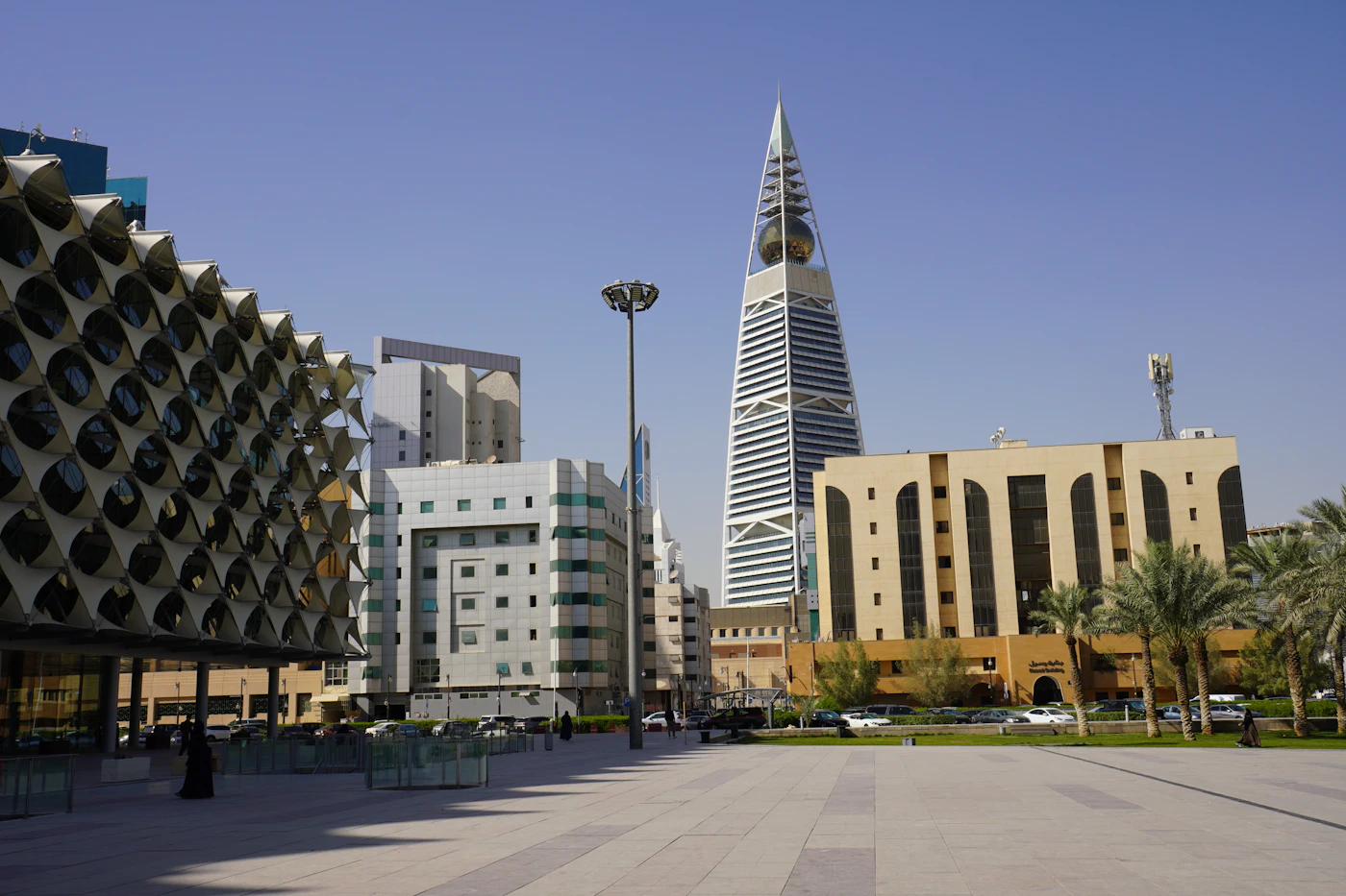 منظر من السعودية
