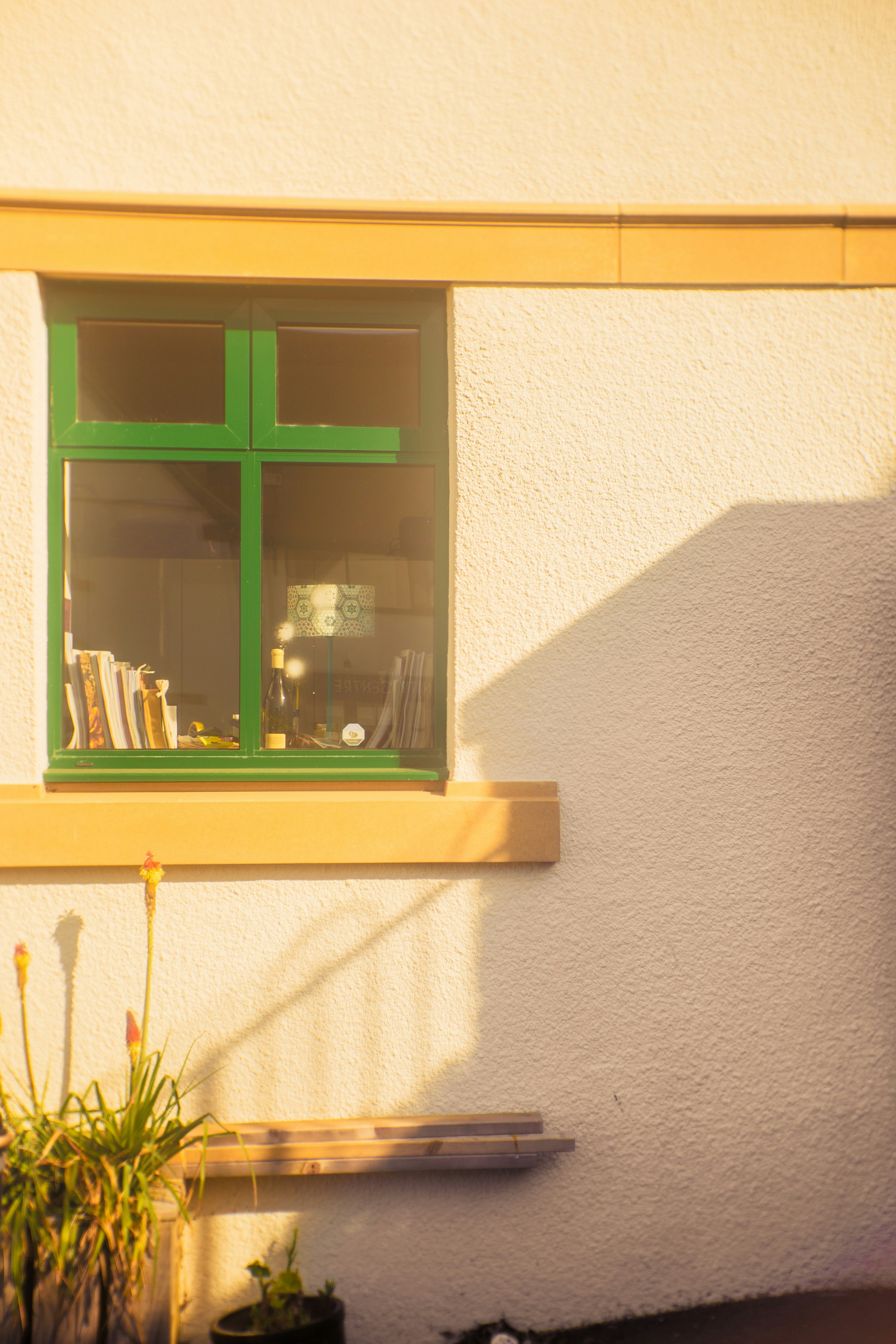 Una pared blanca con una ventana verde y plantas iluminadas por el sol.