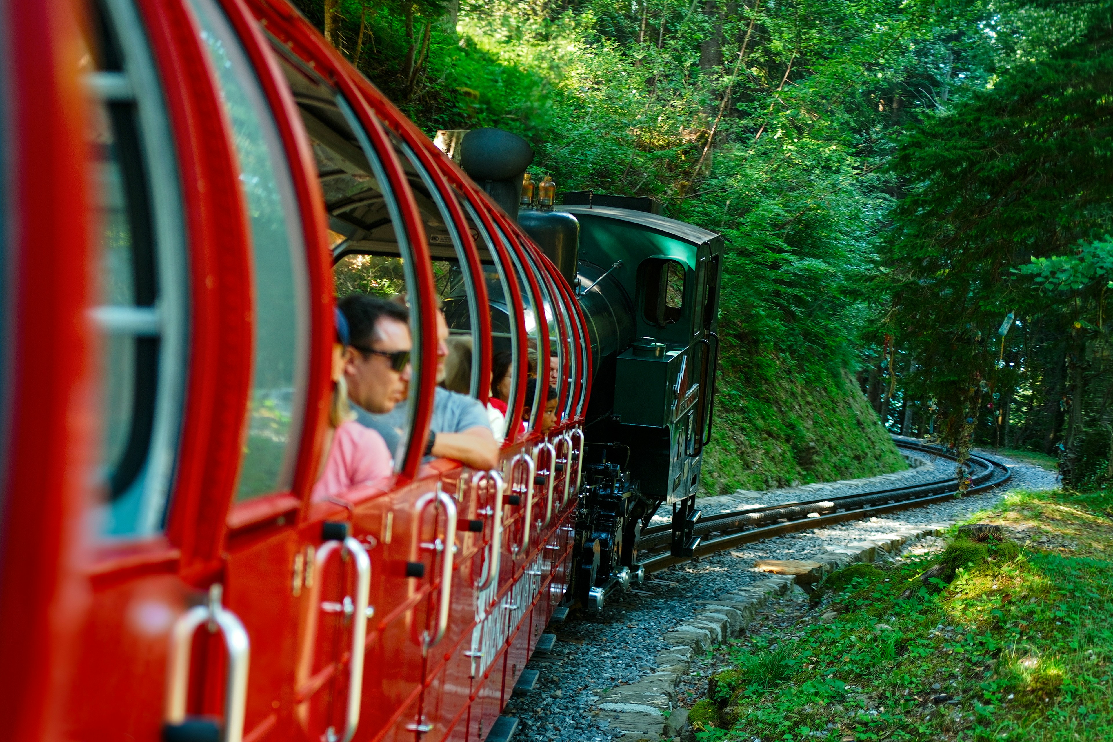Red tourist train traveling through a lush green forest