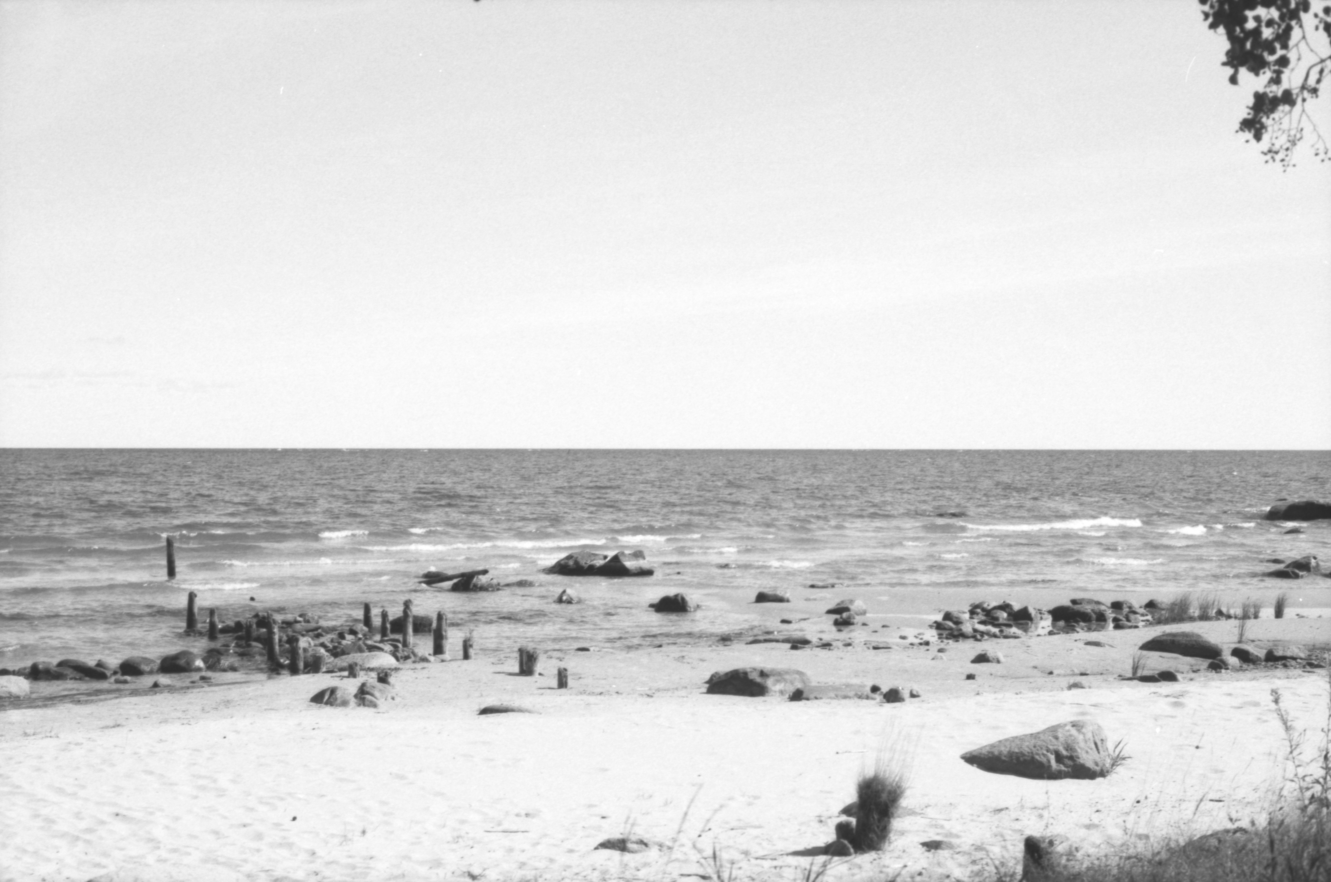 Sandy beach with ocean waves, rocks, and old wooden posts.