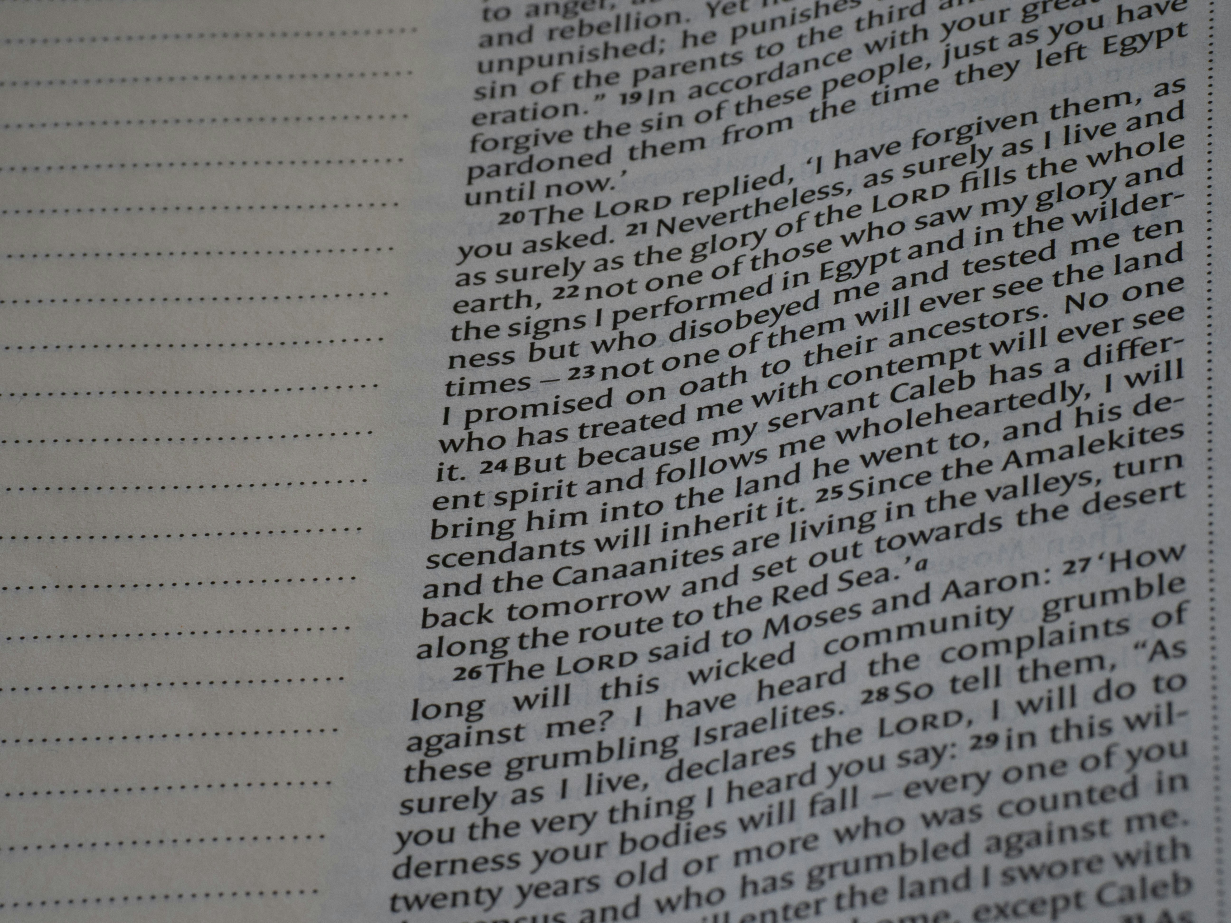 Printed text on a book page next to blank lines.