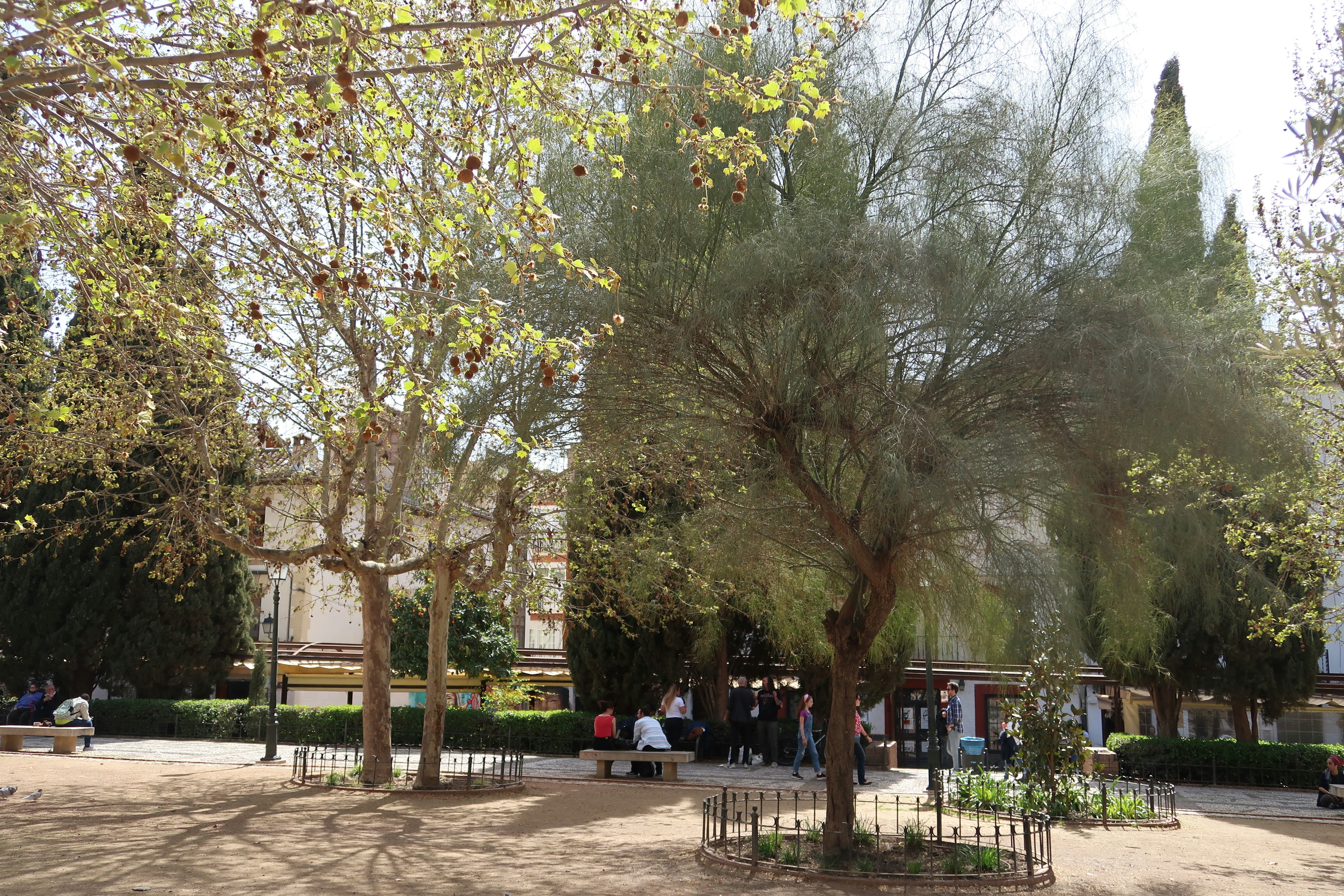 Café de la Place — La Farlède