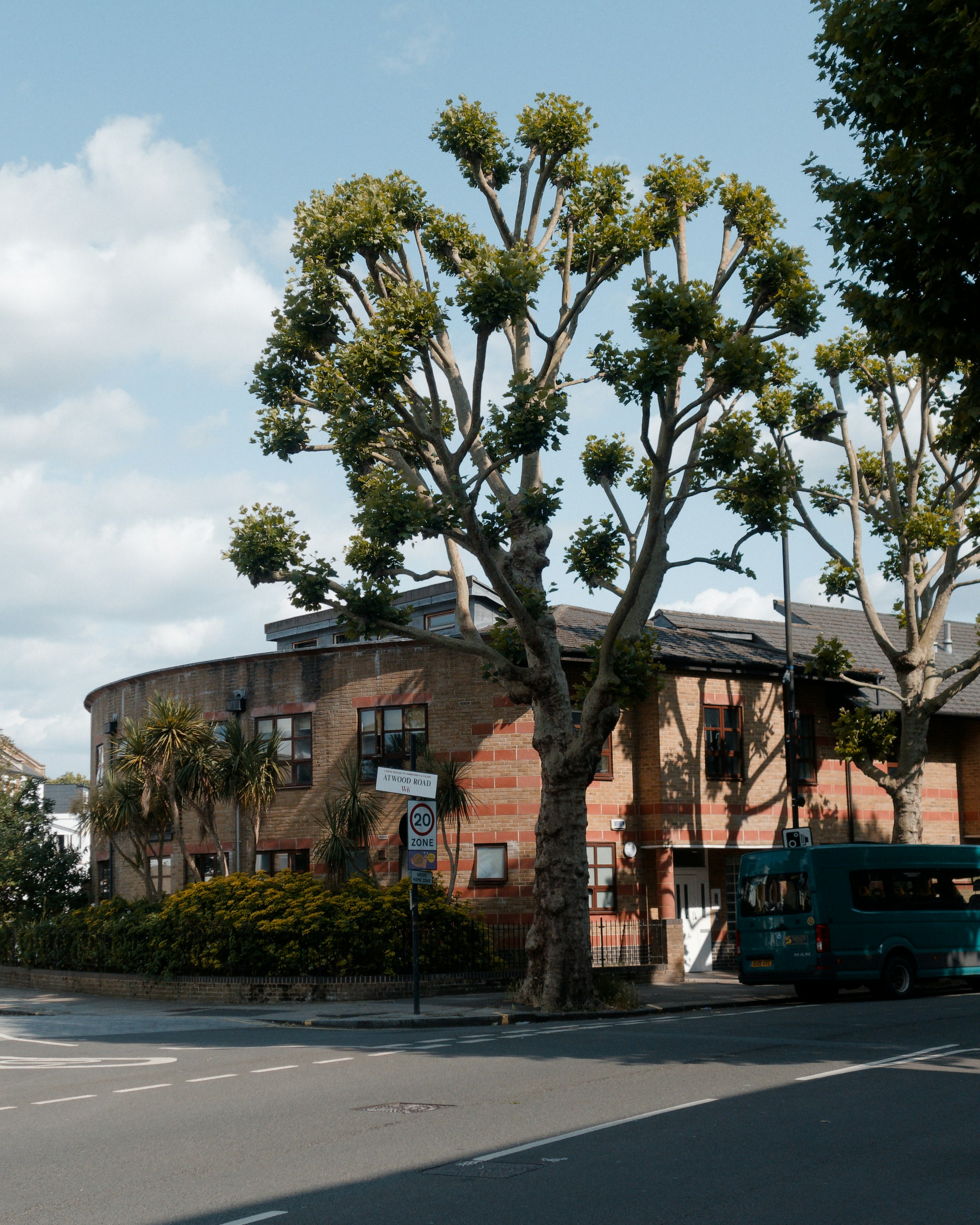 Pollarded tree on a street corner with a brick building
