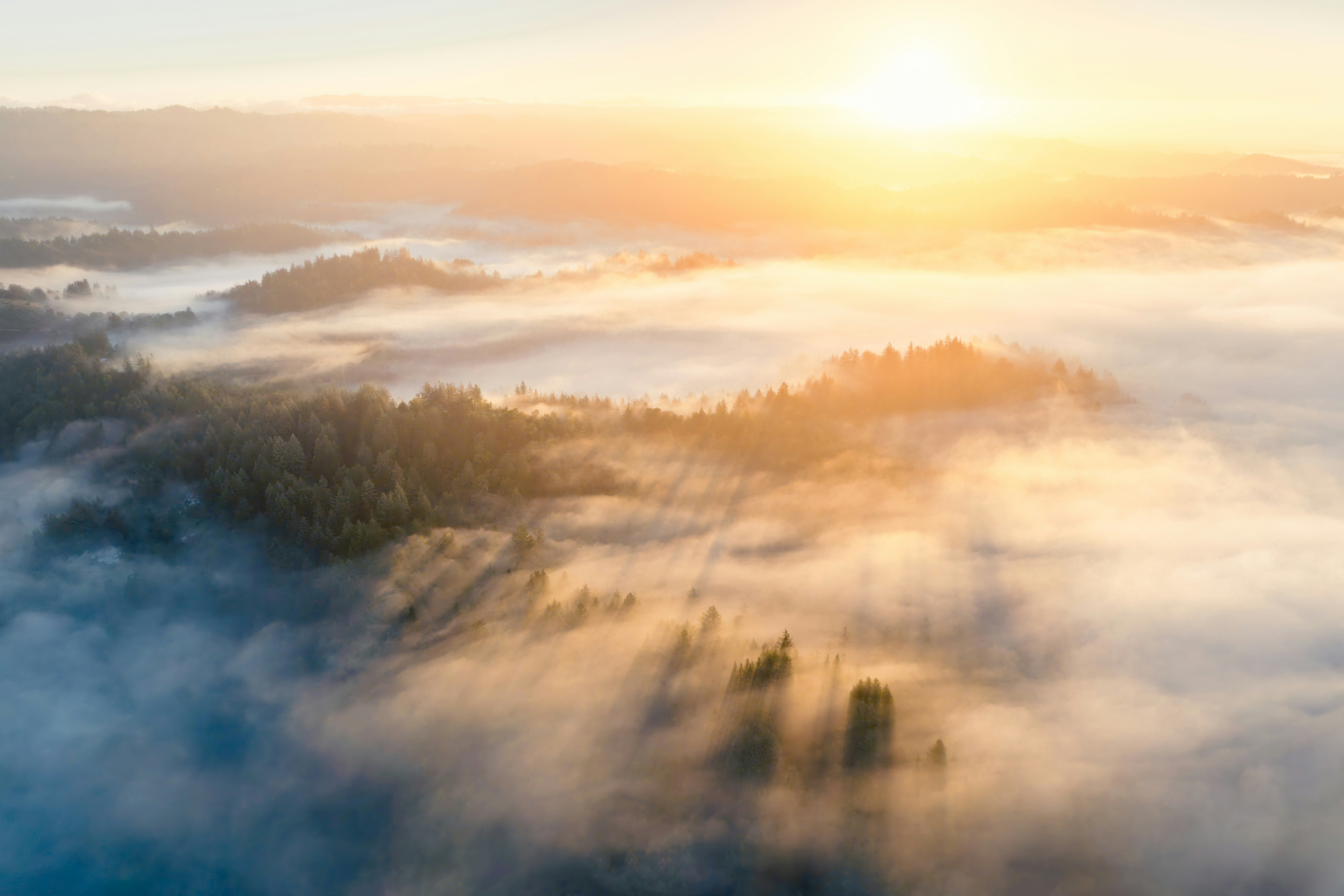 Sunrise over foggy forest hills with golden light