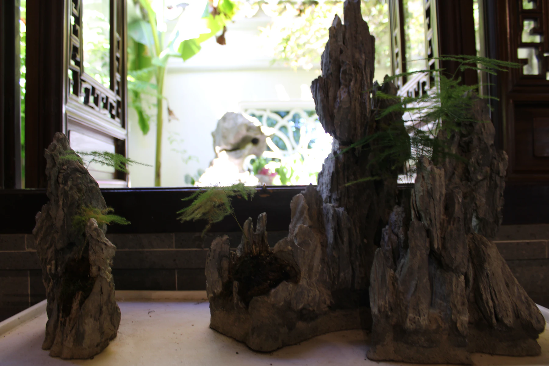 Tall craggy rocks planted with small ferns in a shallow tray beside a lattice window