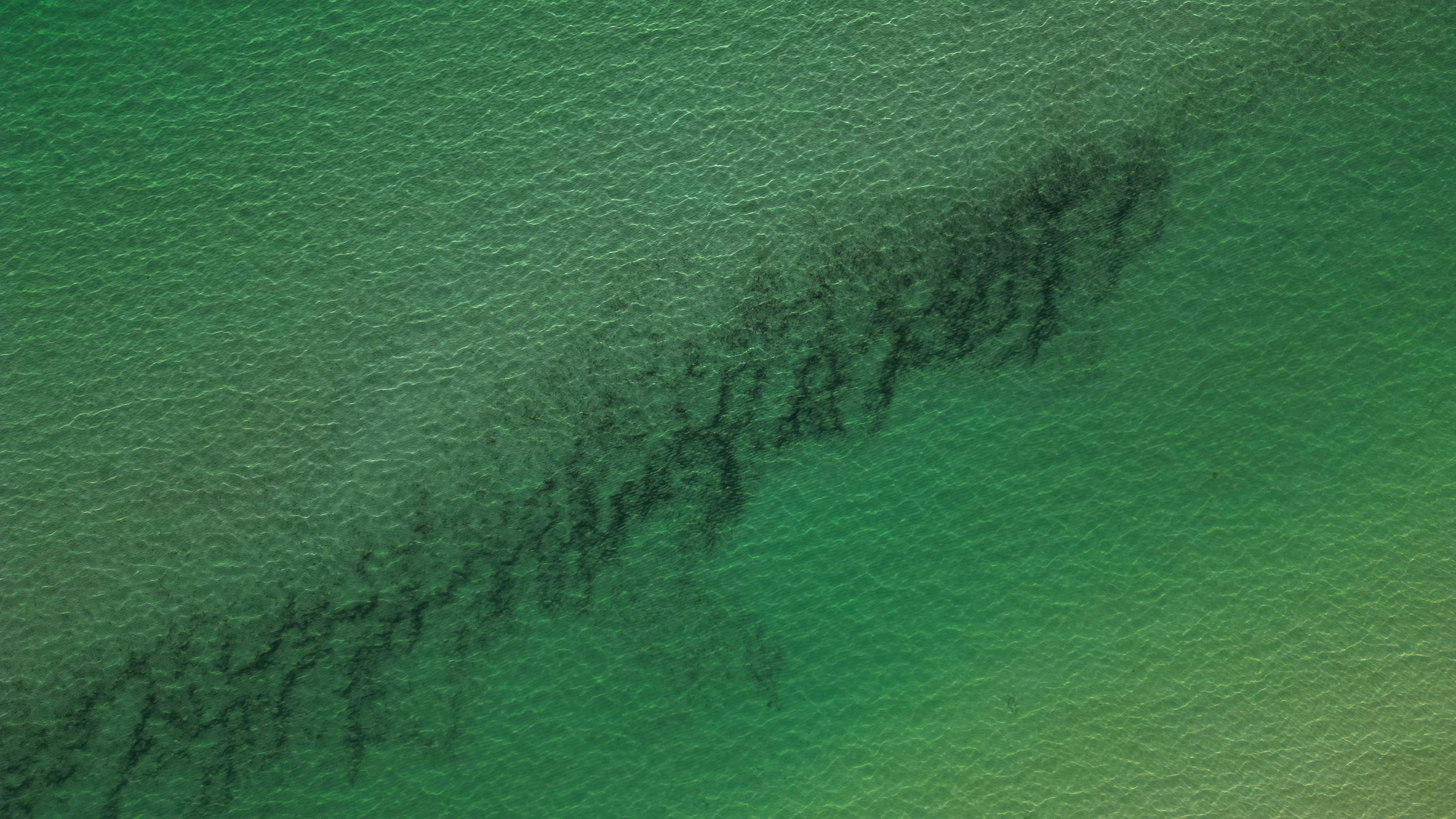Dark oil slick spreads across vibrant green ocean water.