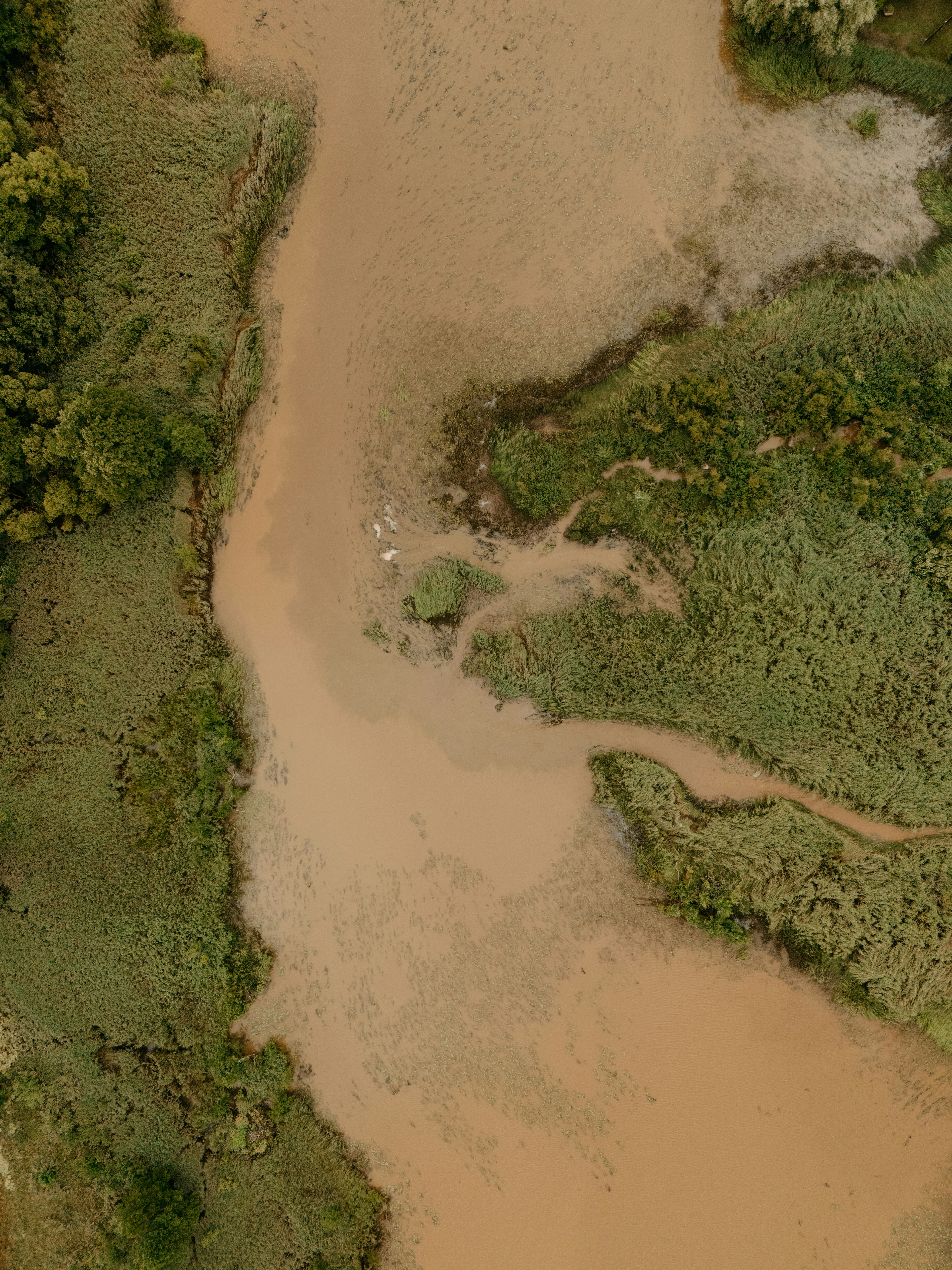 Modelo de IA para inundaciones sin datos locales del río