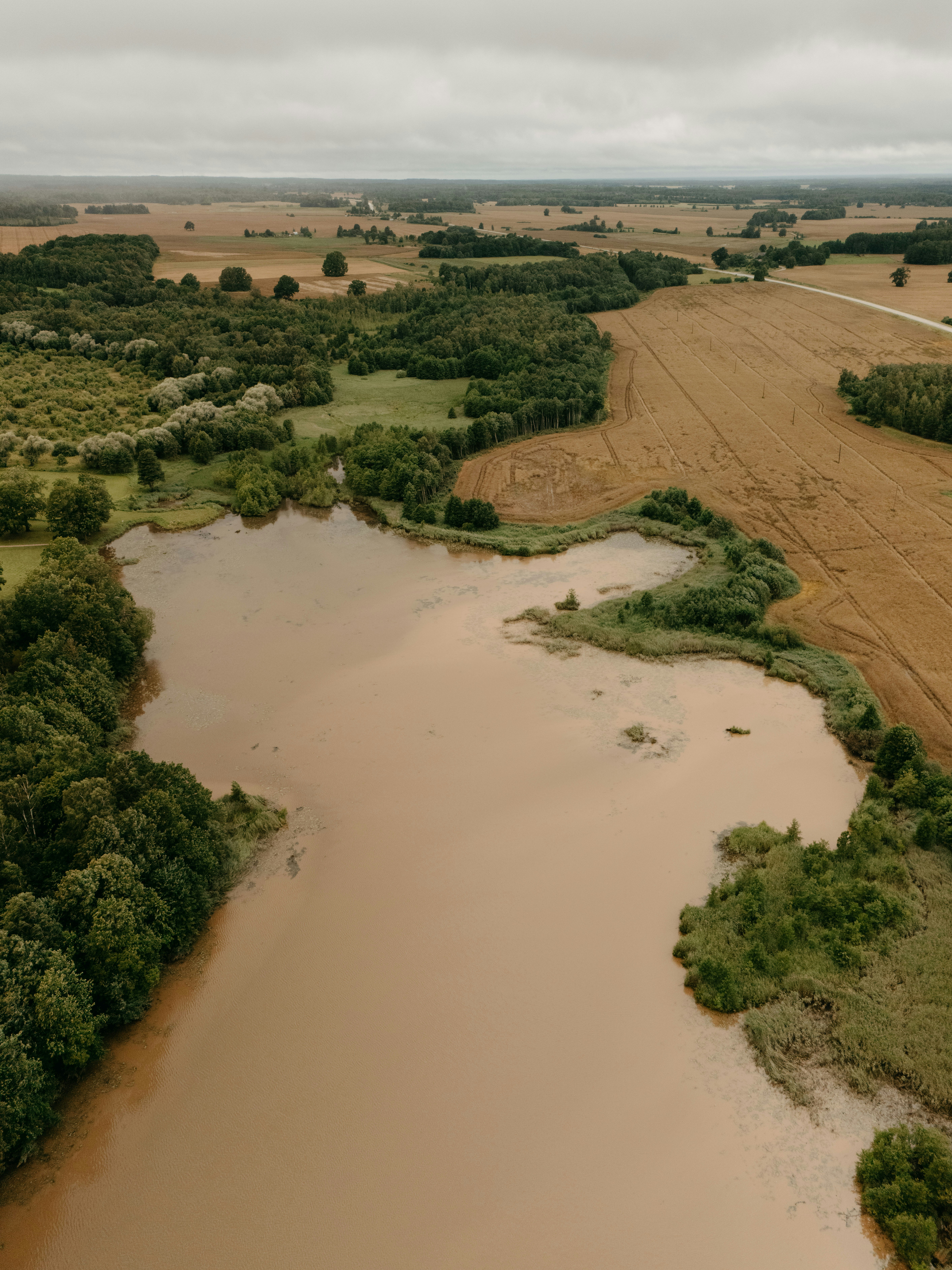 Brown lake bordered by green trees and golden agricultural fields