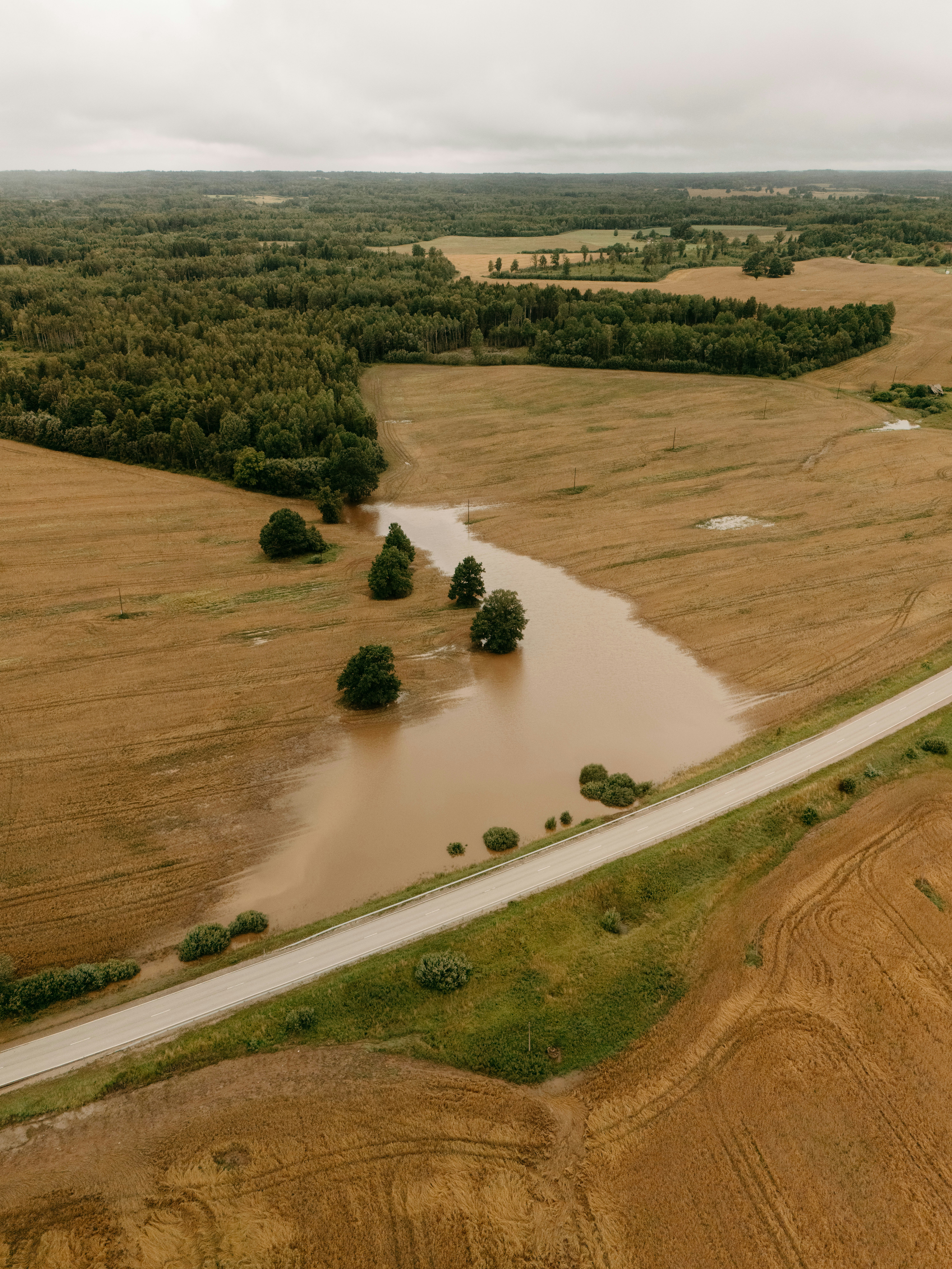 Muddy floodwaters engulfing fields and trees beside a rural road