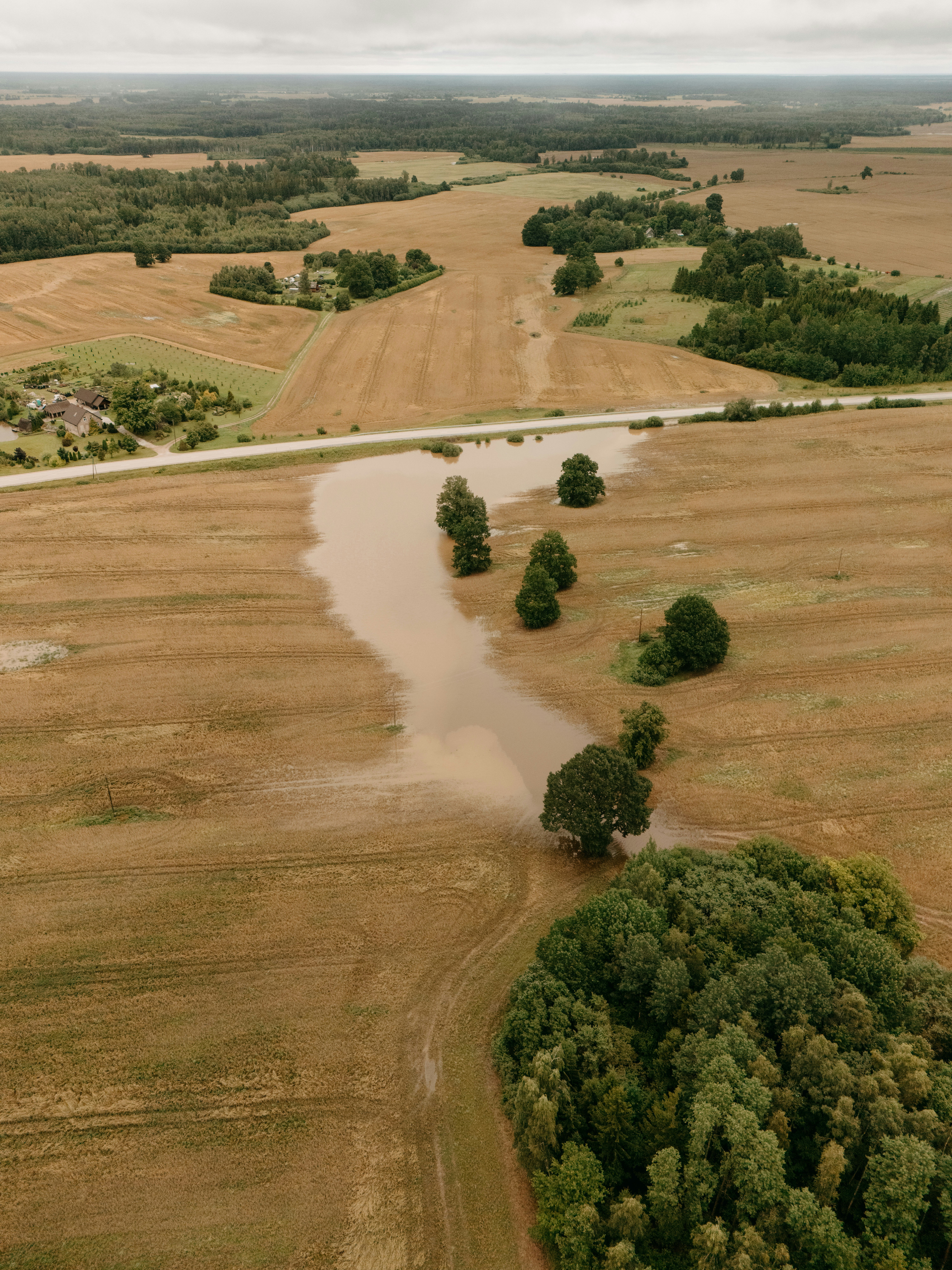 Aerial view of flooded fields, road, and scattered trees