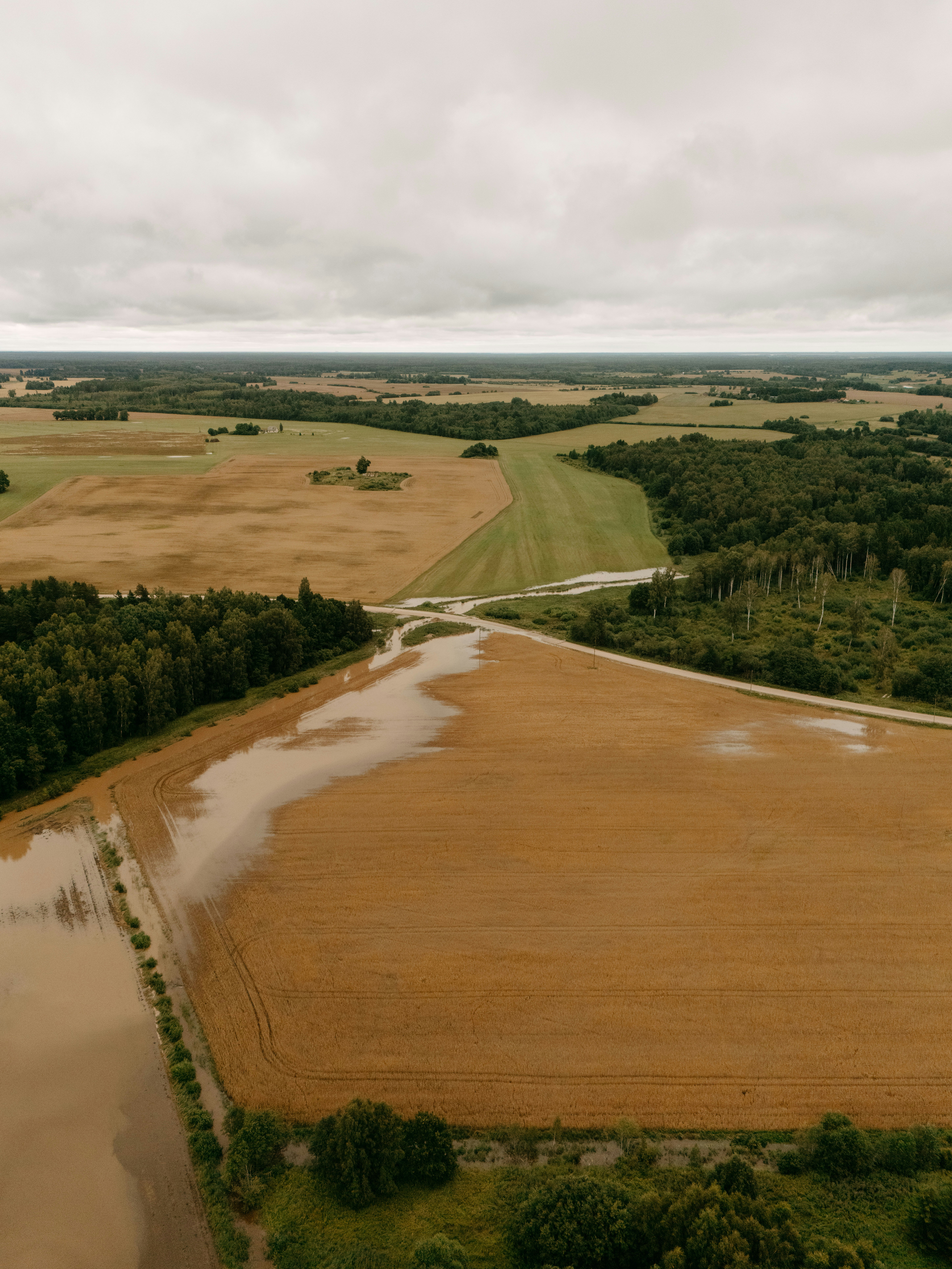 Rural landscape with flooded fields, forests, and cloudy sky