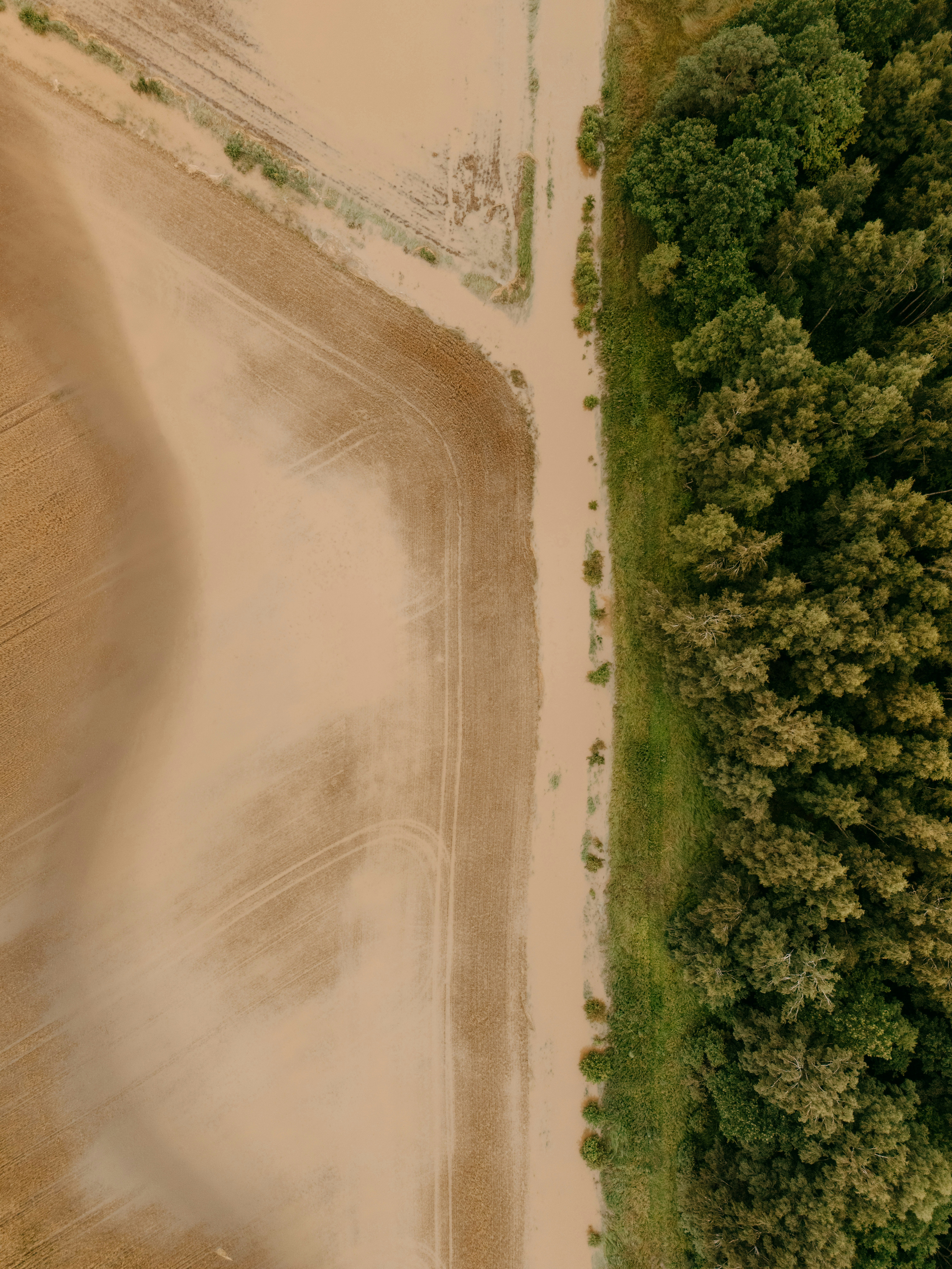 Agricultural field, narrow dirt path, and lush green forest