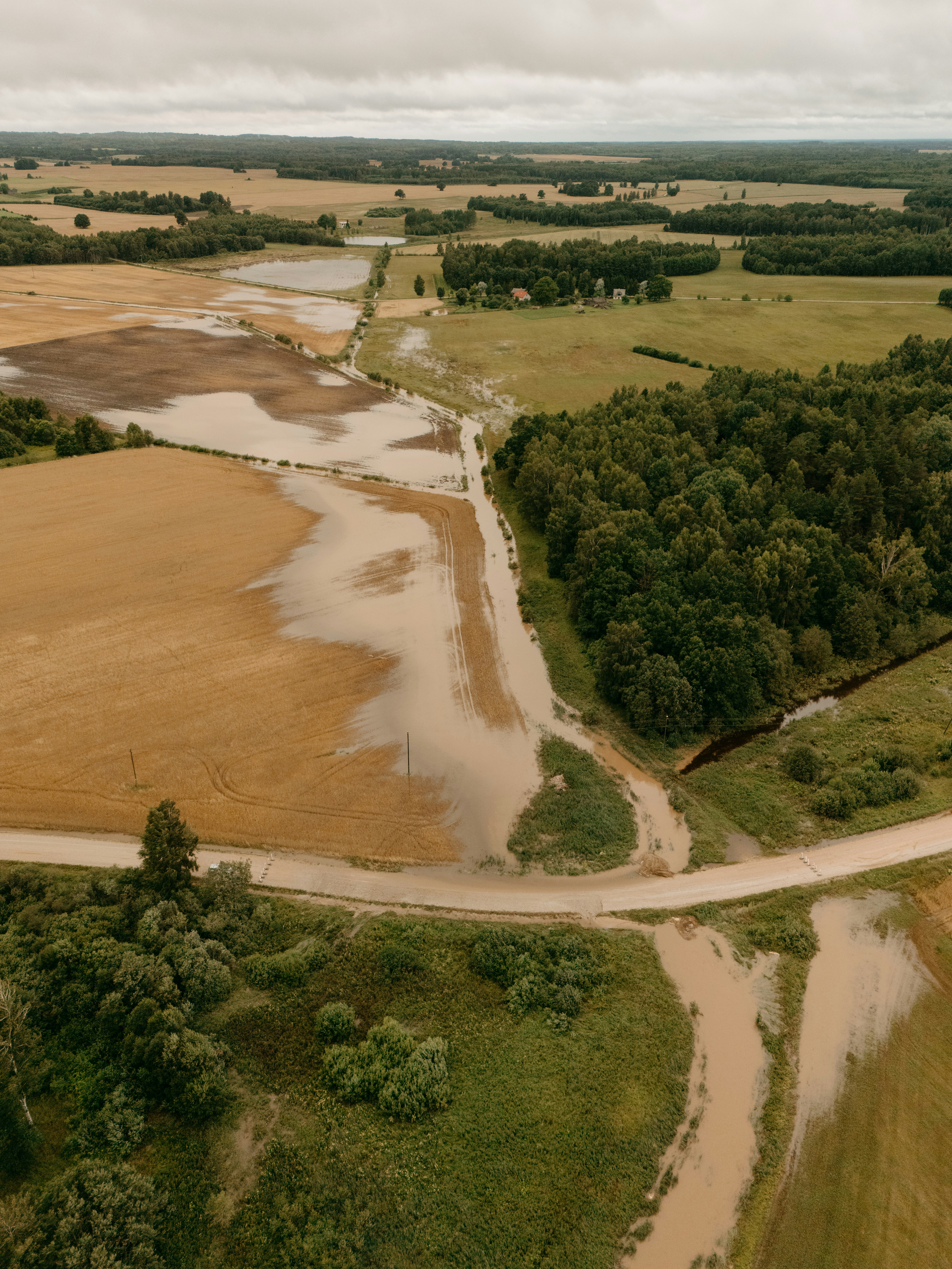 Aerial view of flooded fields and winding roads