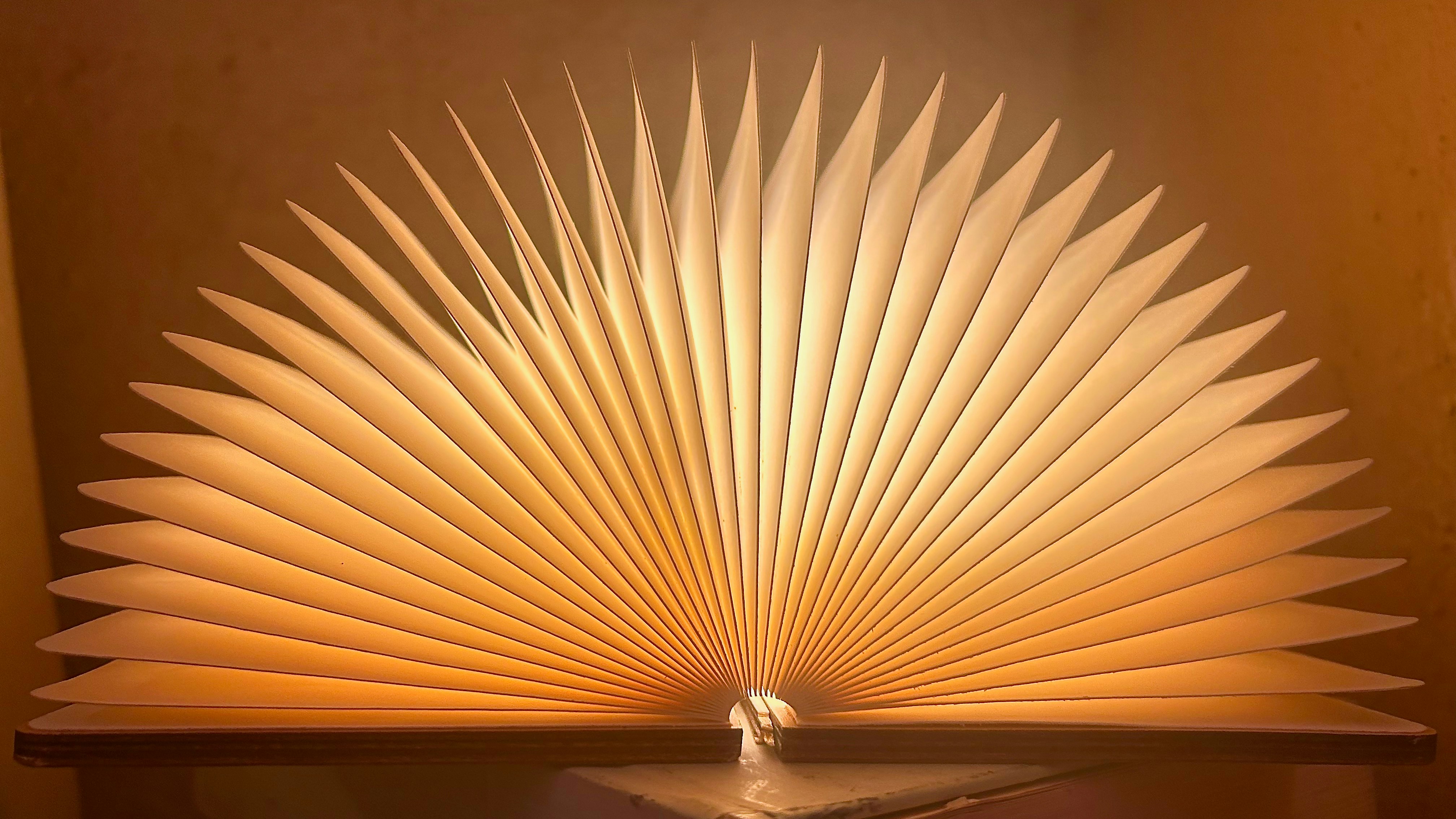 An open book with glowing pages creating a fan shape